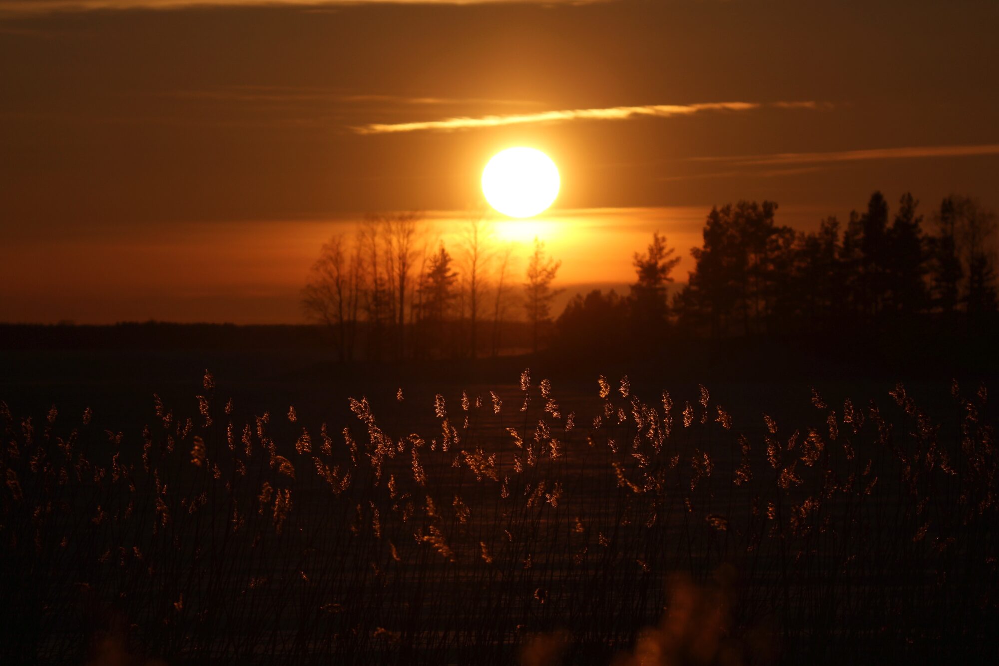 Valokuvaaja: Jaana Saarelainen