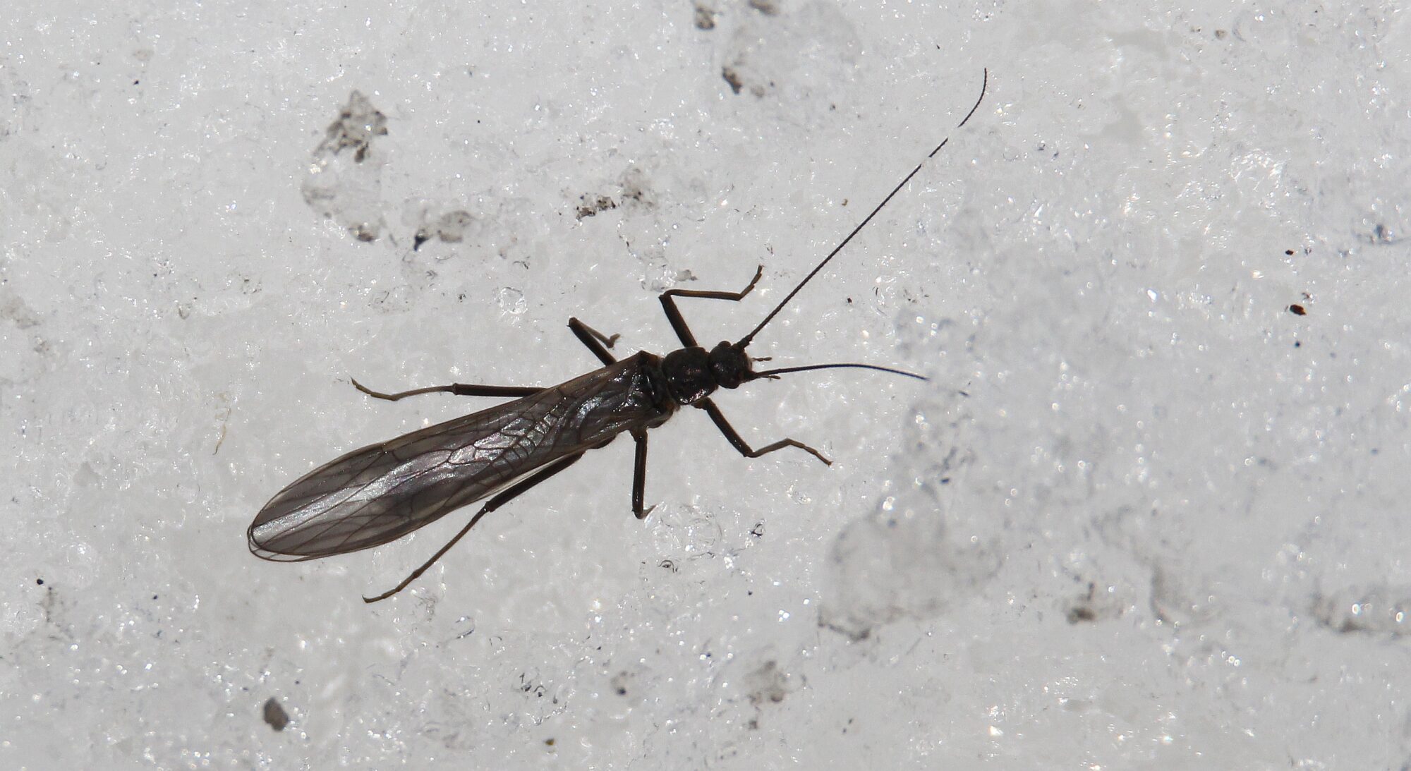 Valokuvaaja: Jaana Saarelainen