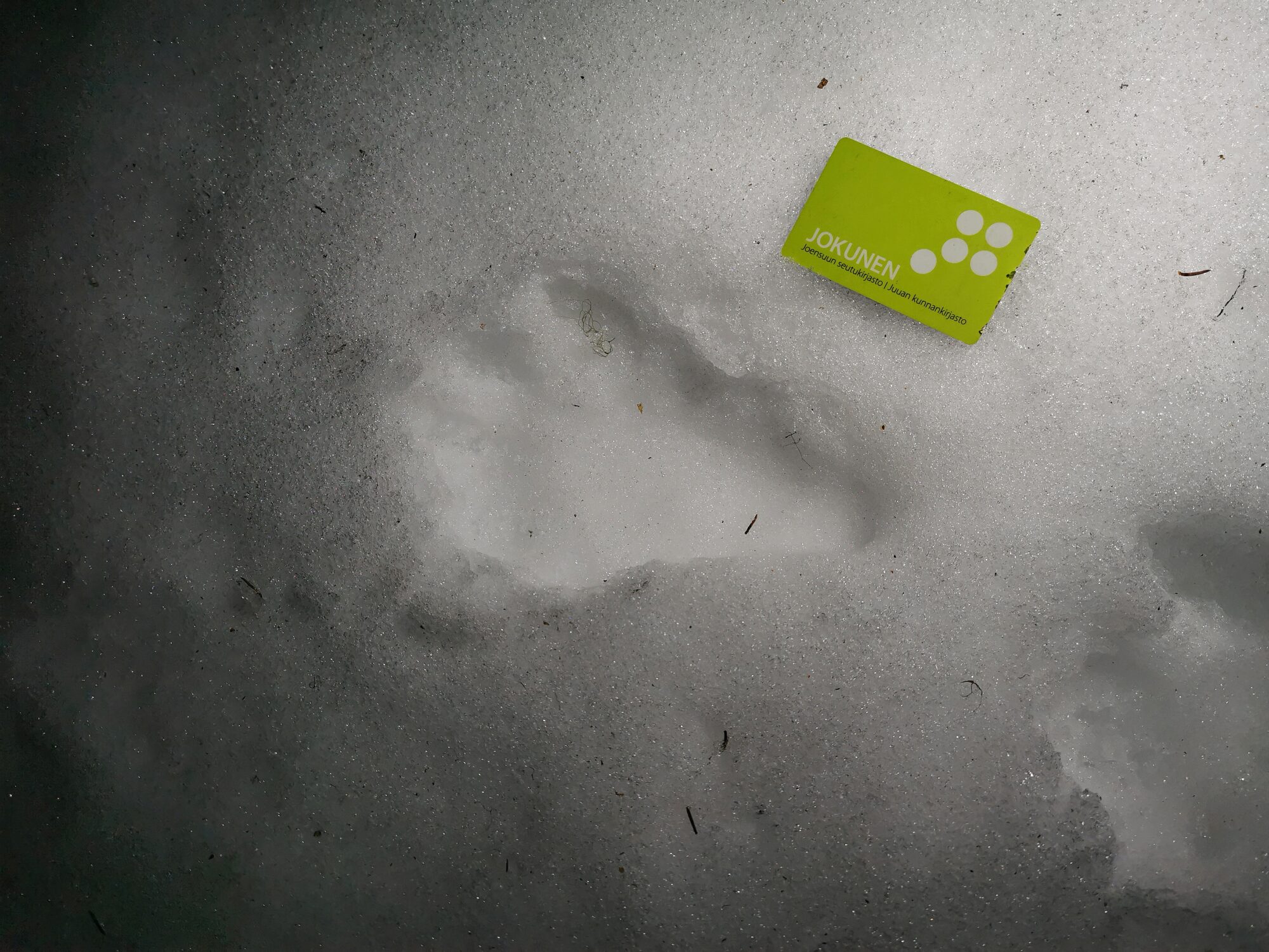 Valokuvaaja: Jaana Saarelainen