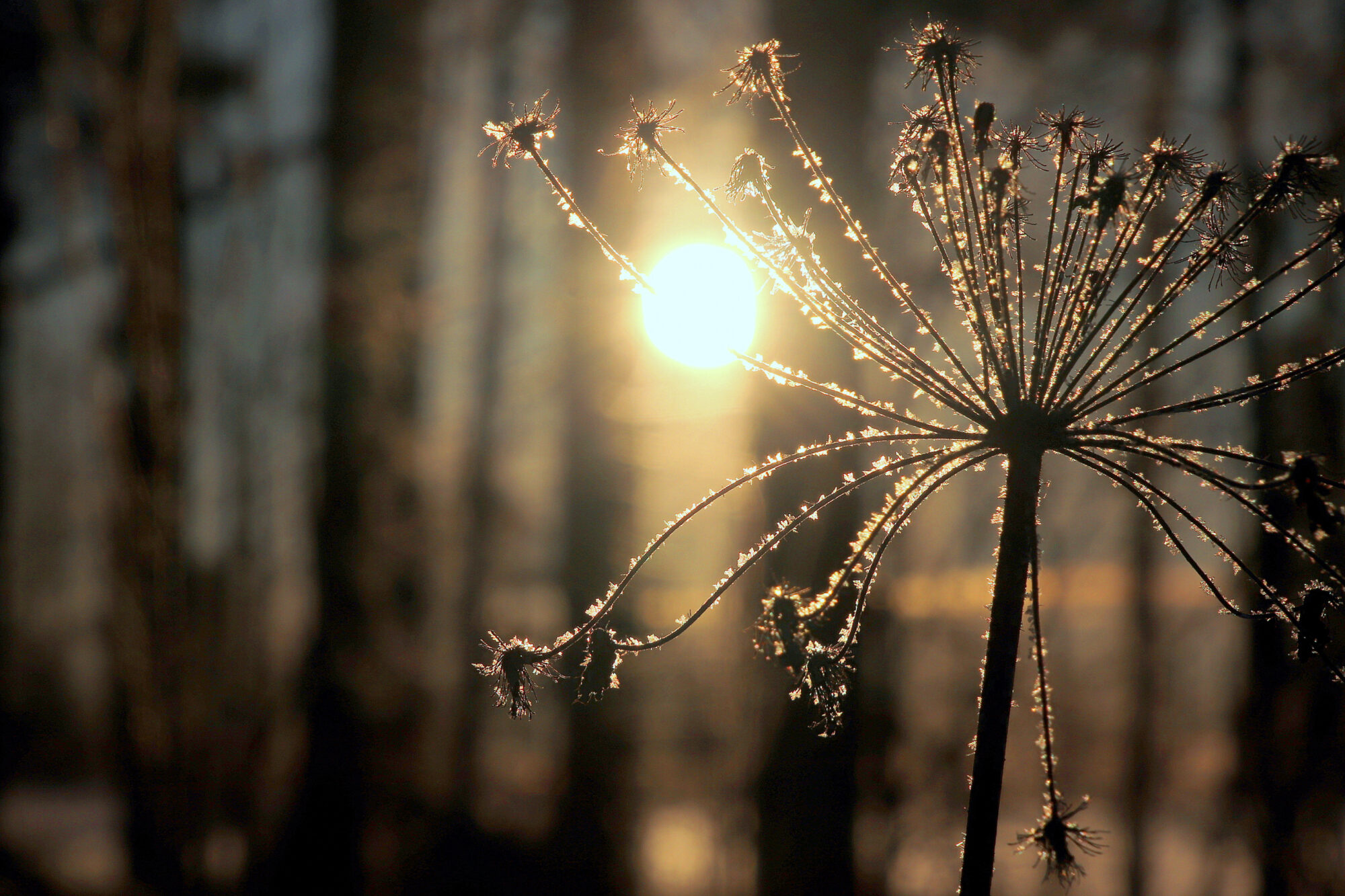 Valokuvaaja: sirpa jyske