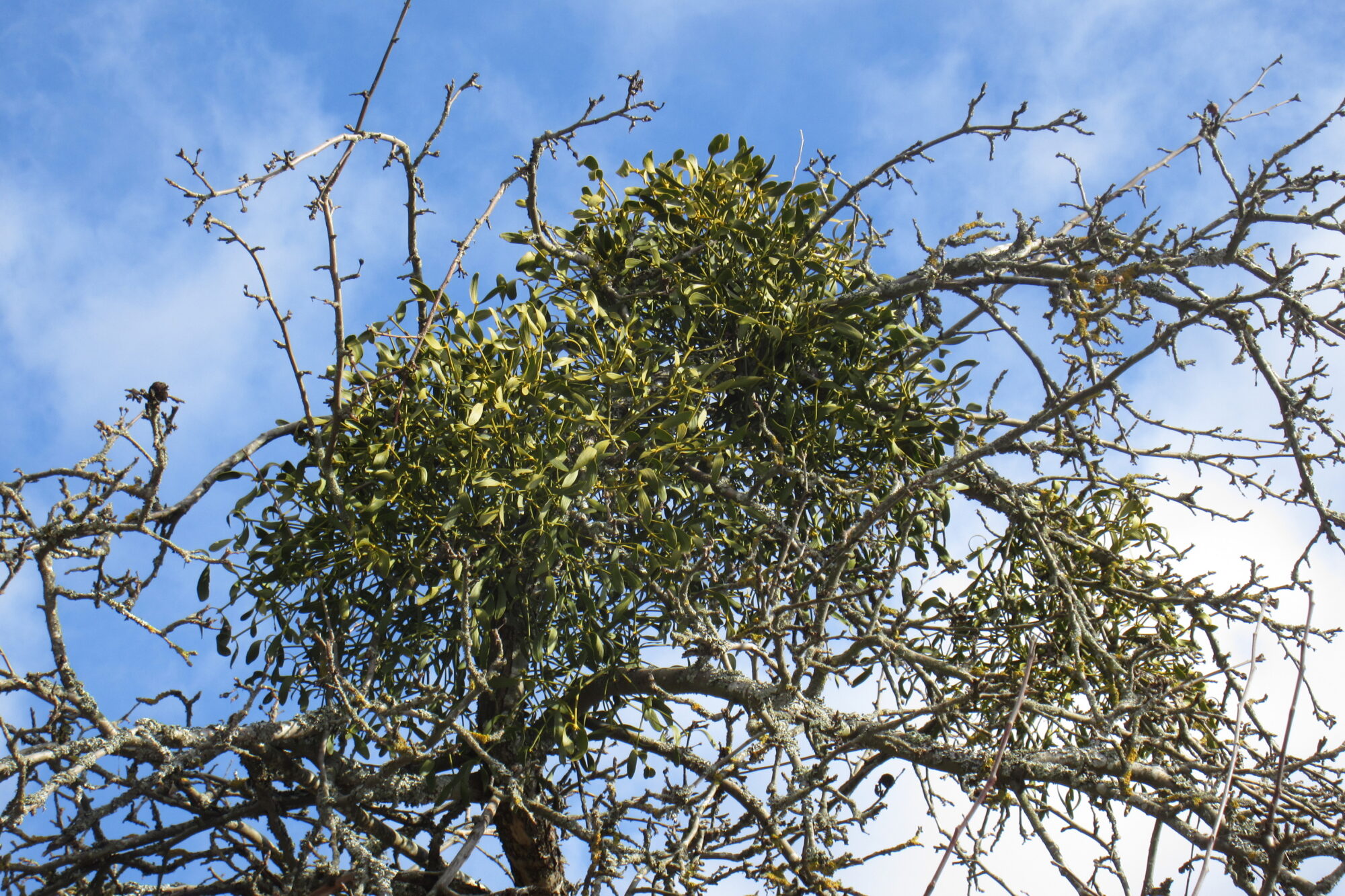 Valokuvaaja: Jouni Uski
