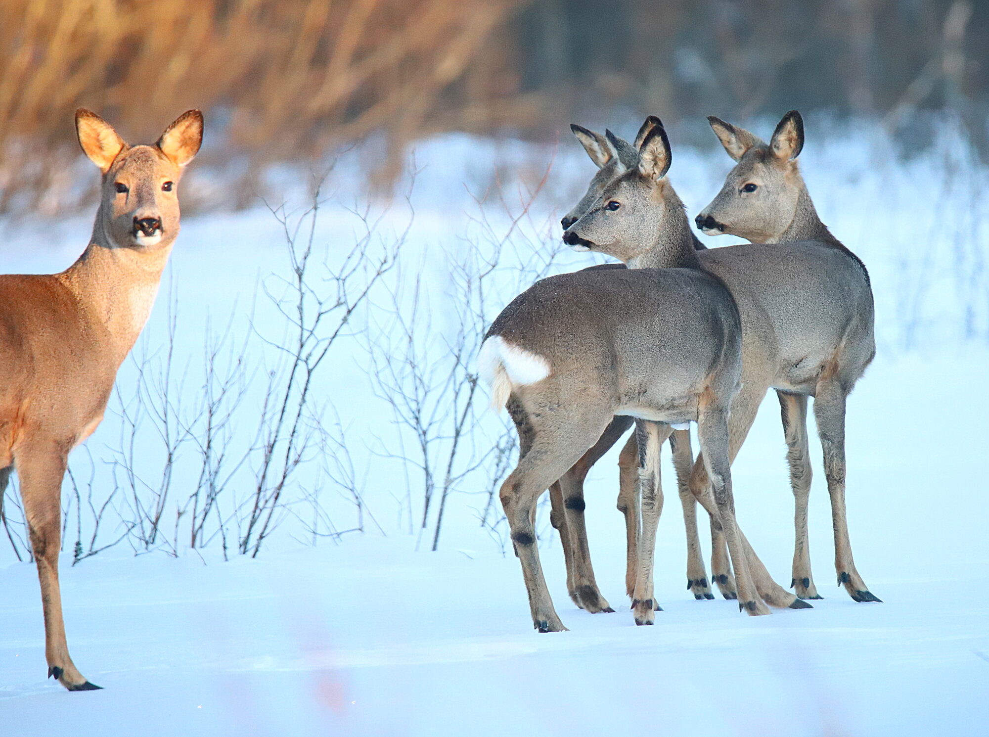 Valokuvaaja: sirpa jyske