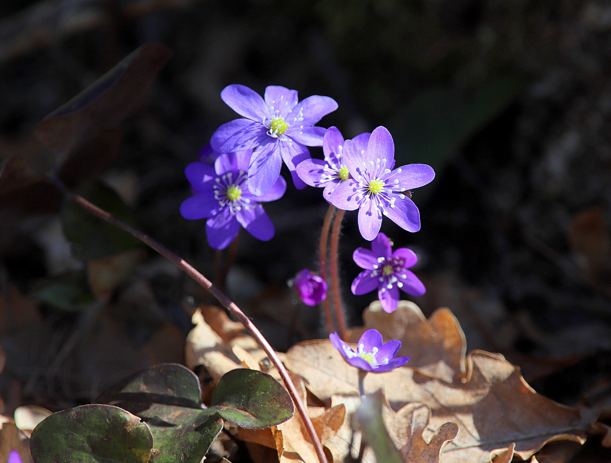 Valokuvaaja: sirpa jyske