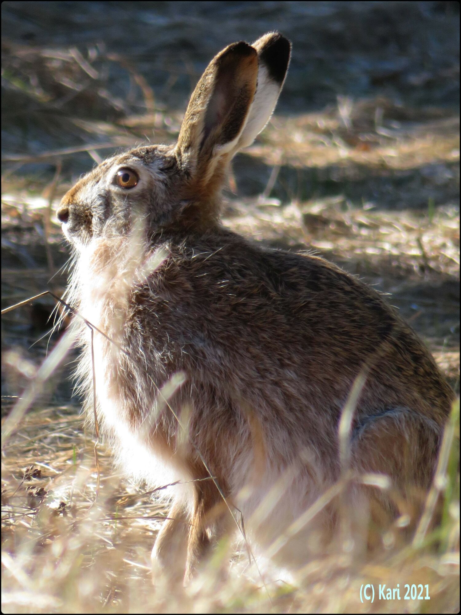 Valokuvaaja: Kari Saarinen