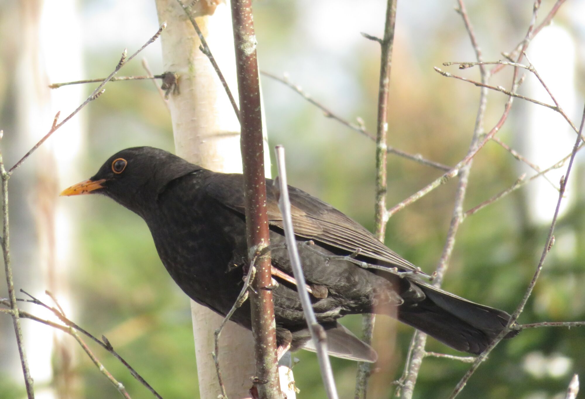 Valokuvaaja: Mari Ahtola