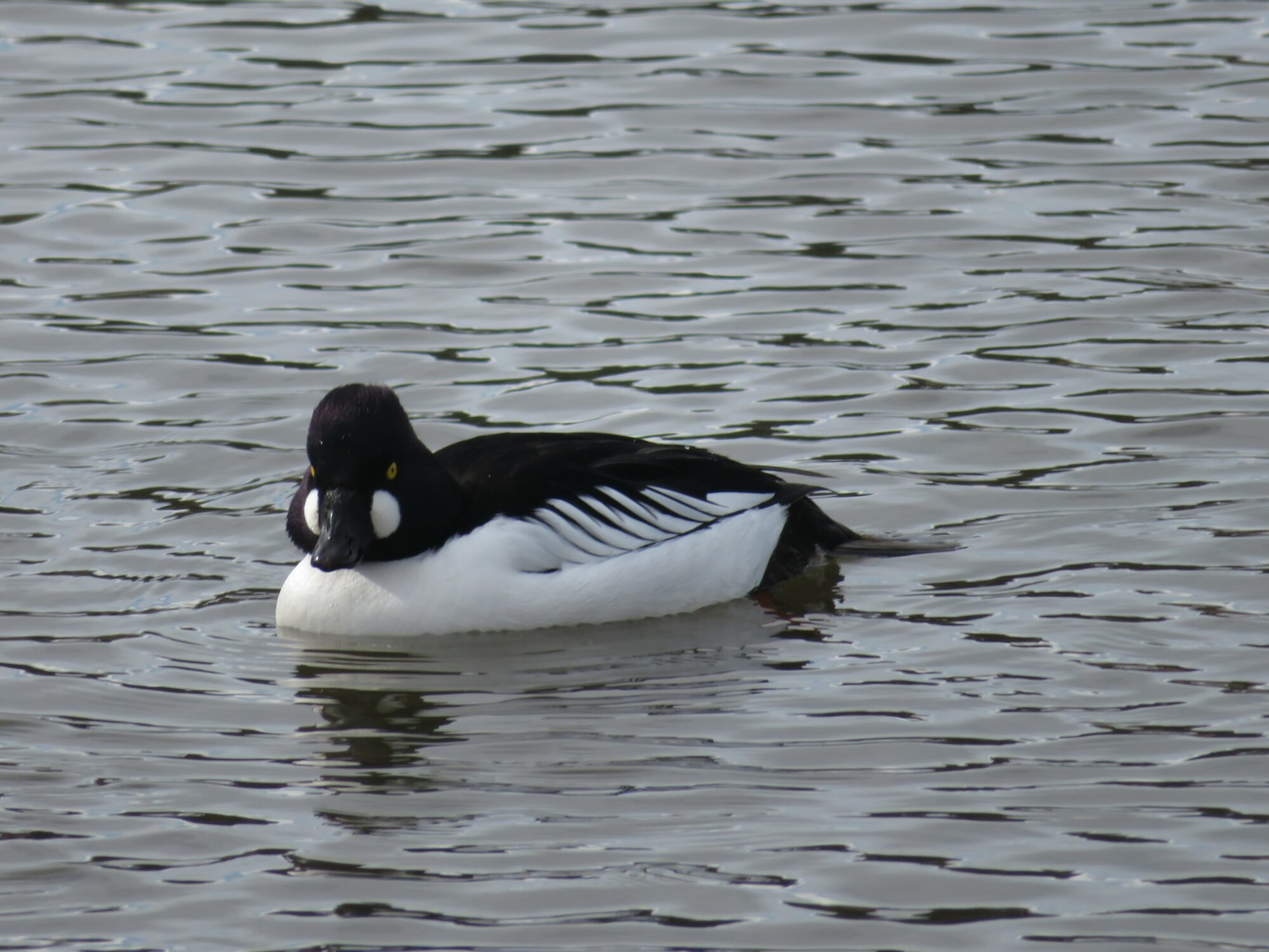Valokuvaaja: Mari Ahtola Valokuvaaja: Mari Ahtola