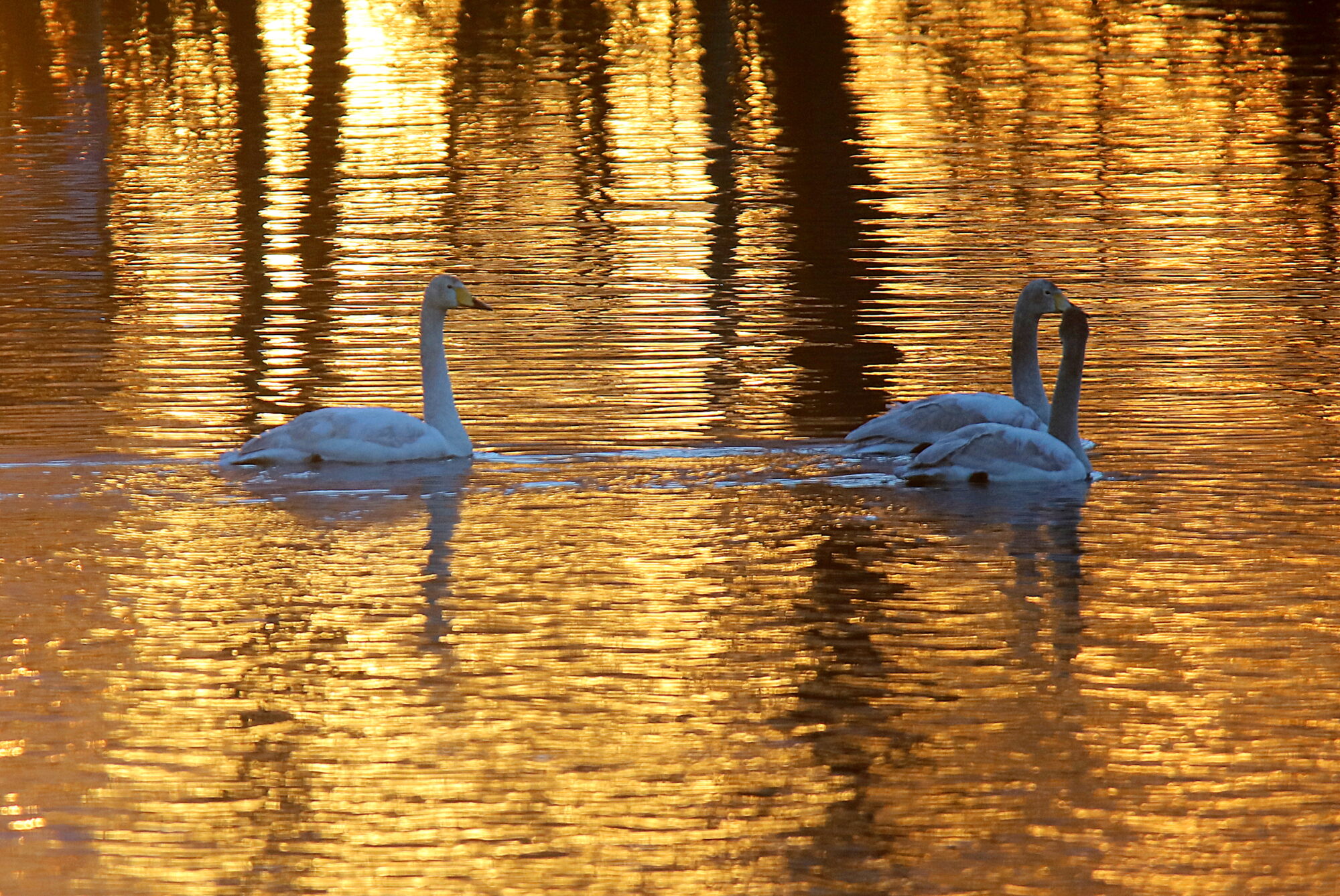 Valokuvaaja: sirpa jyske