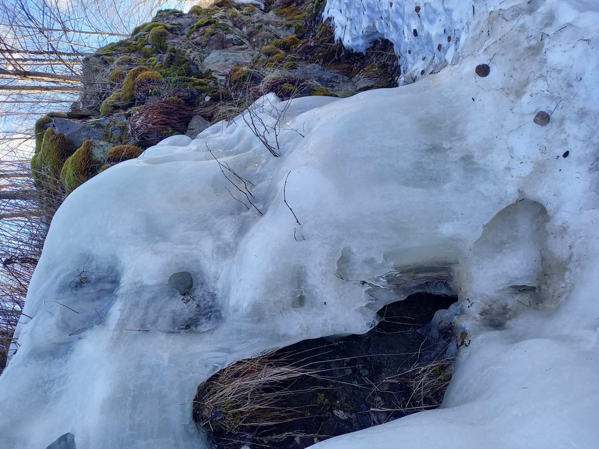 Valokuvaaja: Katrina Räisänen-Sondermann