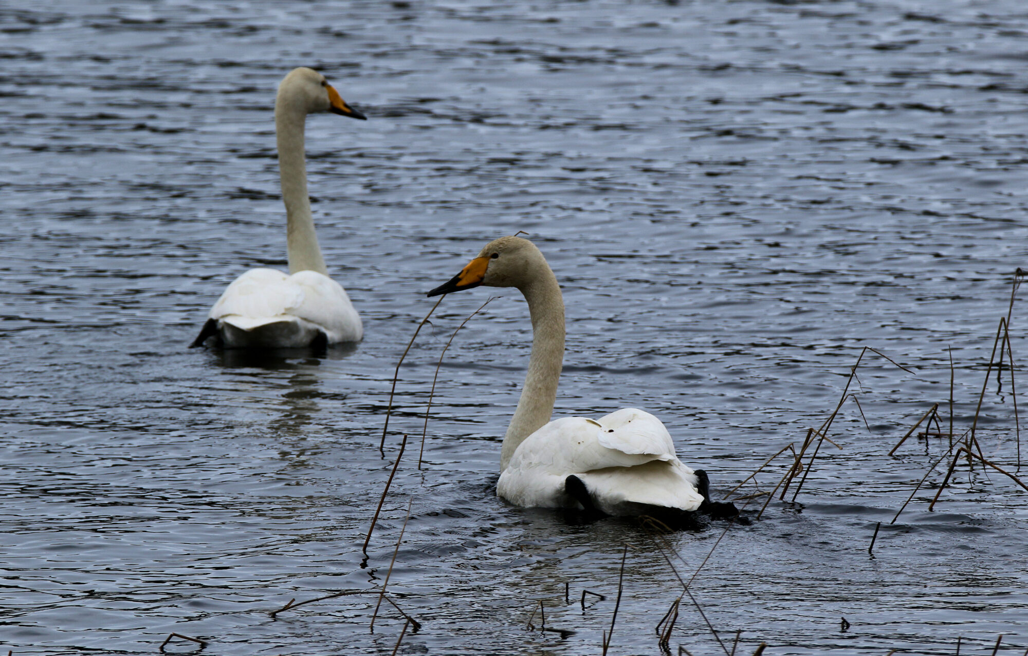 Valokuvaaja: Ahti Keränen