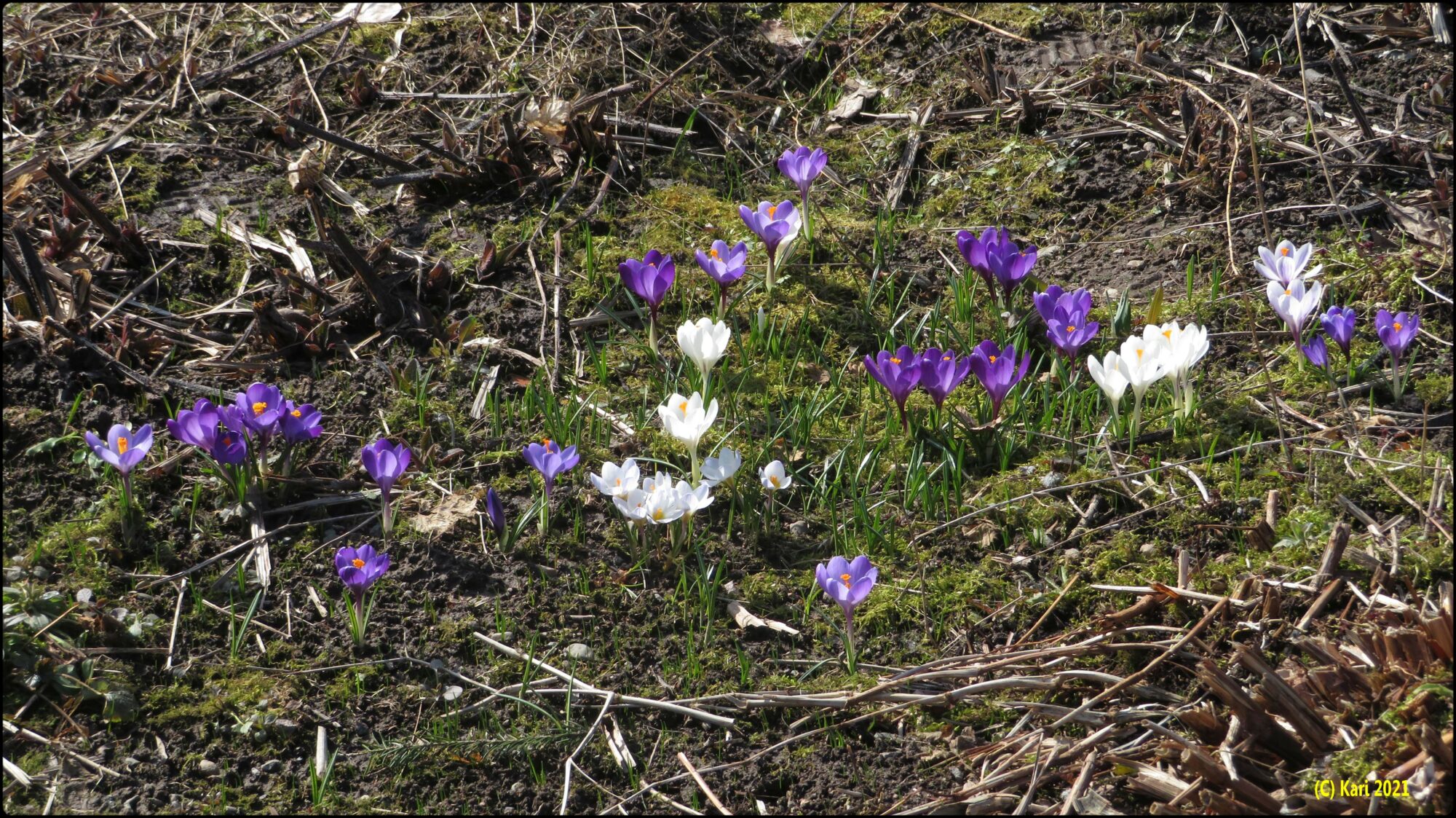 Valokuvaaja: Kari Saarinen