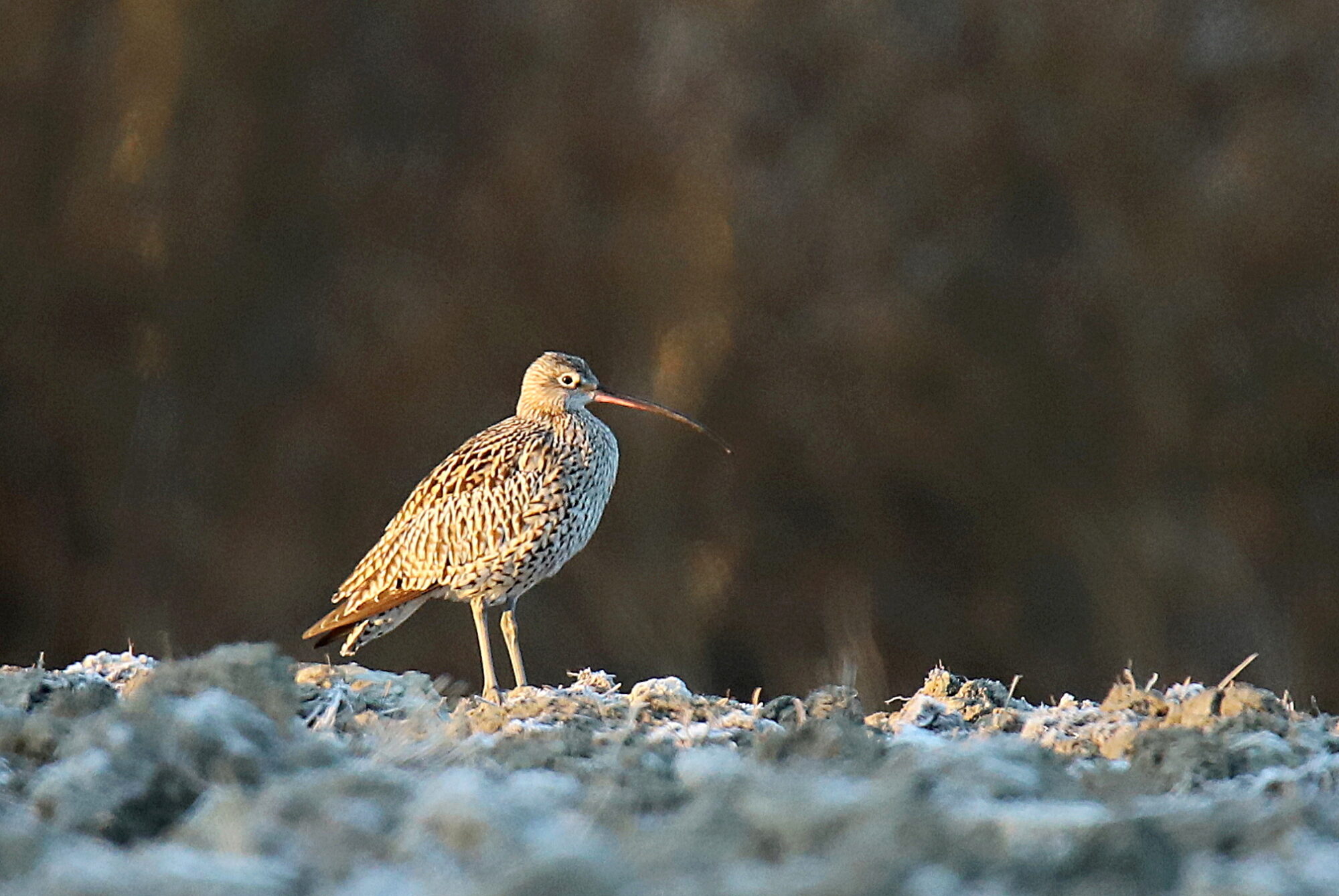 Valokuvaaja: sirpa jyske
