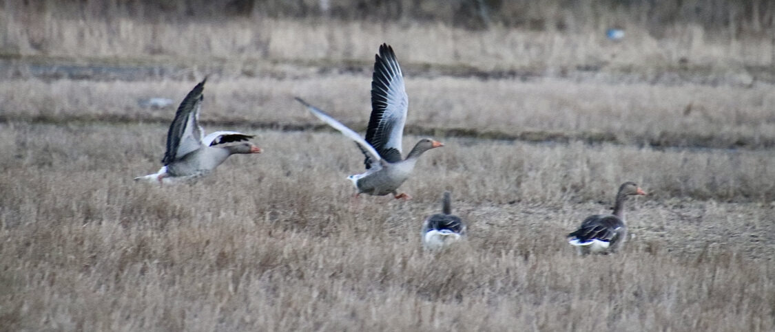 Valokuvaaja: Eveliina Koivisto
