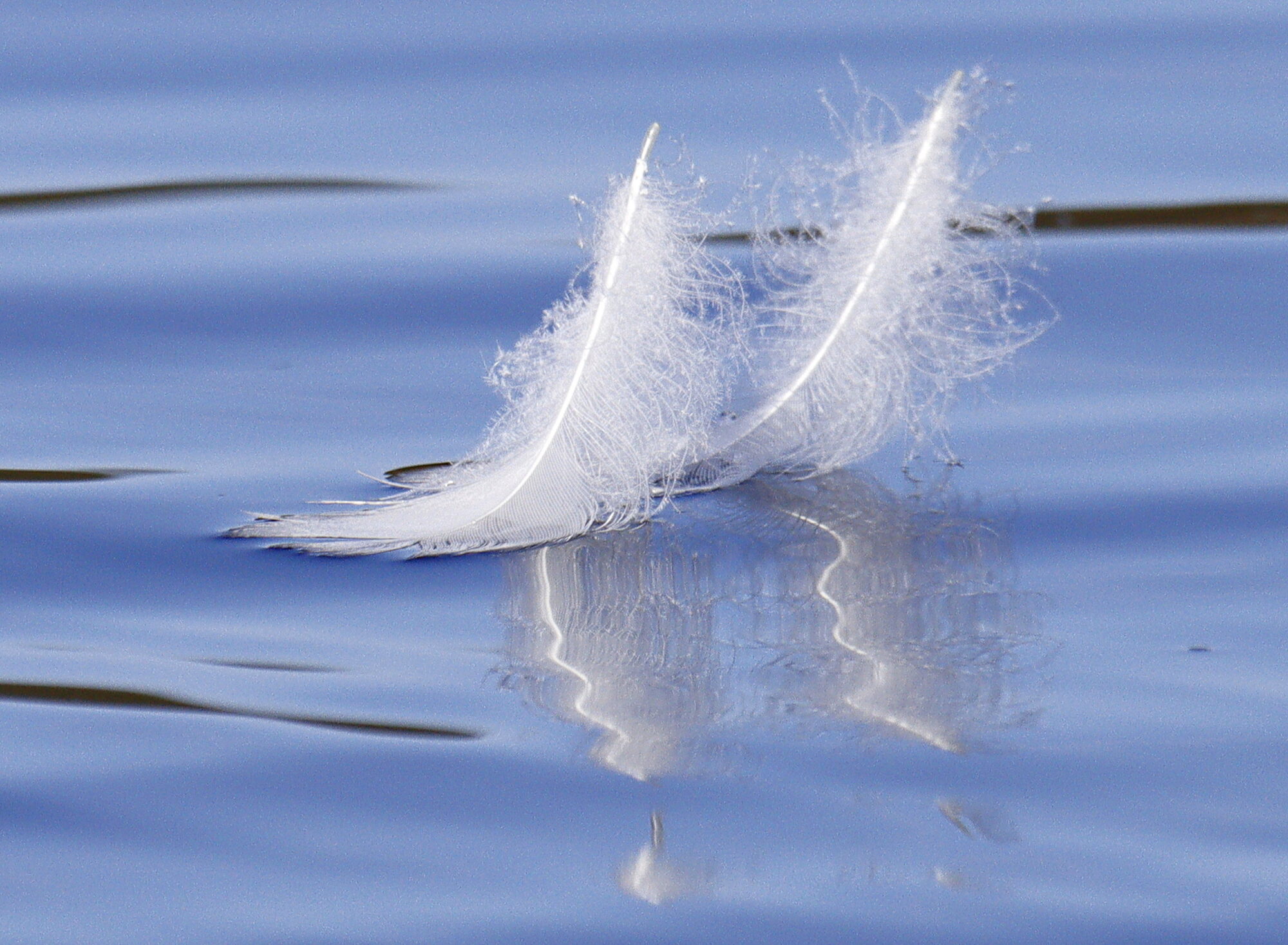 Valokuvaaja: Ritva Nieminen Valokuvaaja: Ritva Nieminen