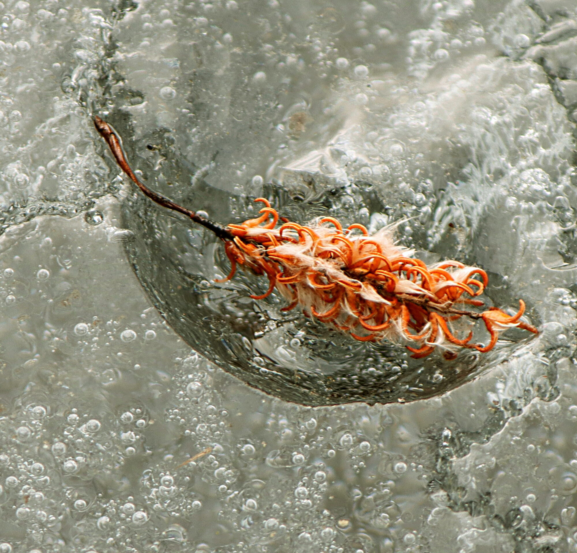 Valokuvaaja: Ritva Nieminen