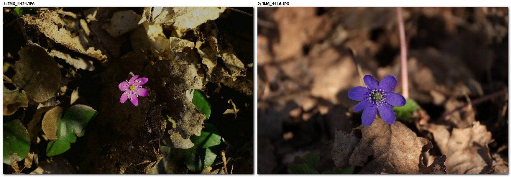 Valokuvaaja: Jukka Nieminen