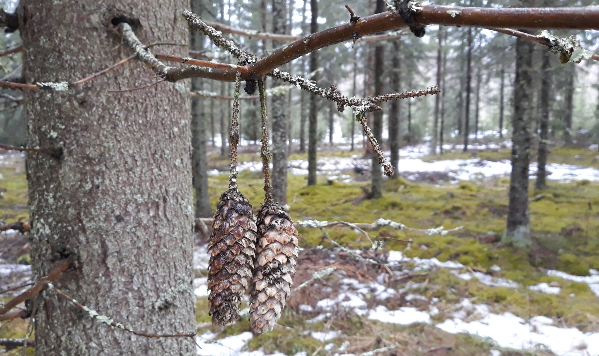 Valokuvaaja: Lasse Kokko Valokuvaaja: Lasse Kokko