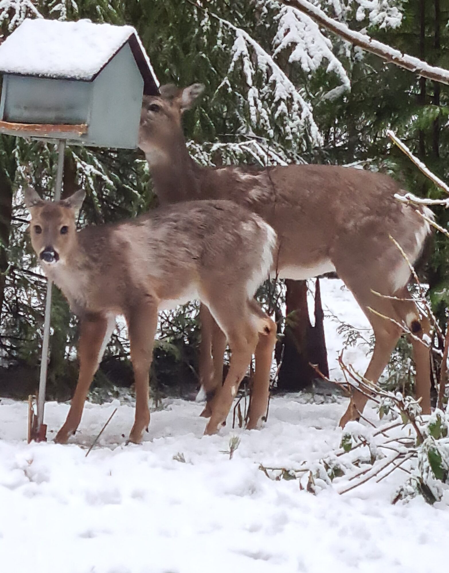 Valokuvaaja: Kaarina Walter