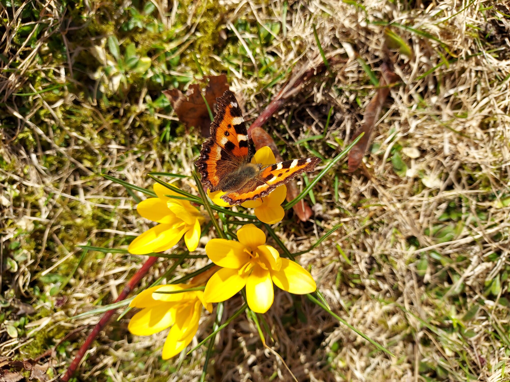 Valokuvaaja: Eija Johanna Saastamoinen