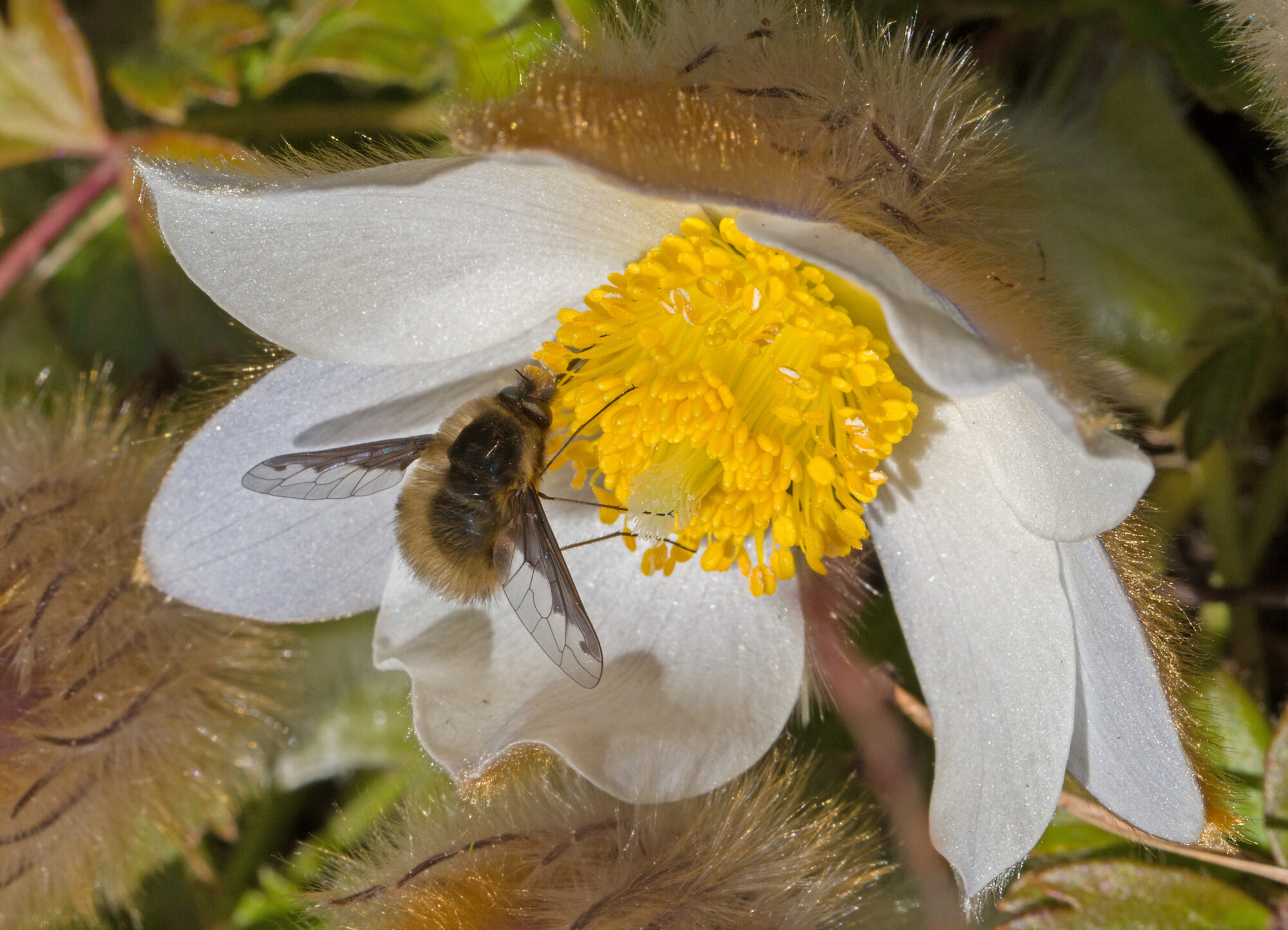 Valokuvaaja: Anna-Liisa Pirhonen