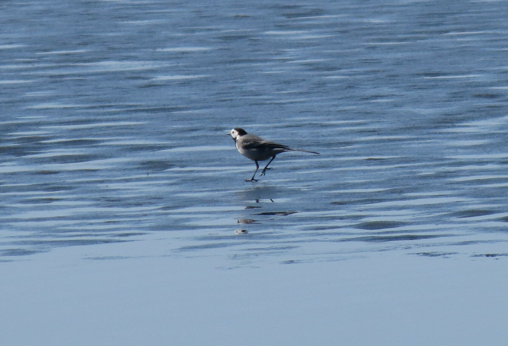 Valokuvaaja: Elina Vuorimaa-Laukkanen