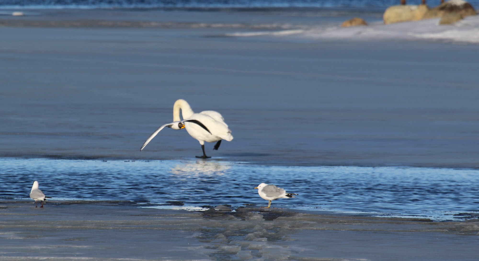 Valokuvaaja: Ahti Keränen