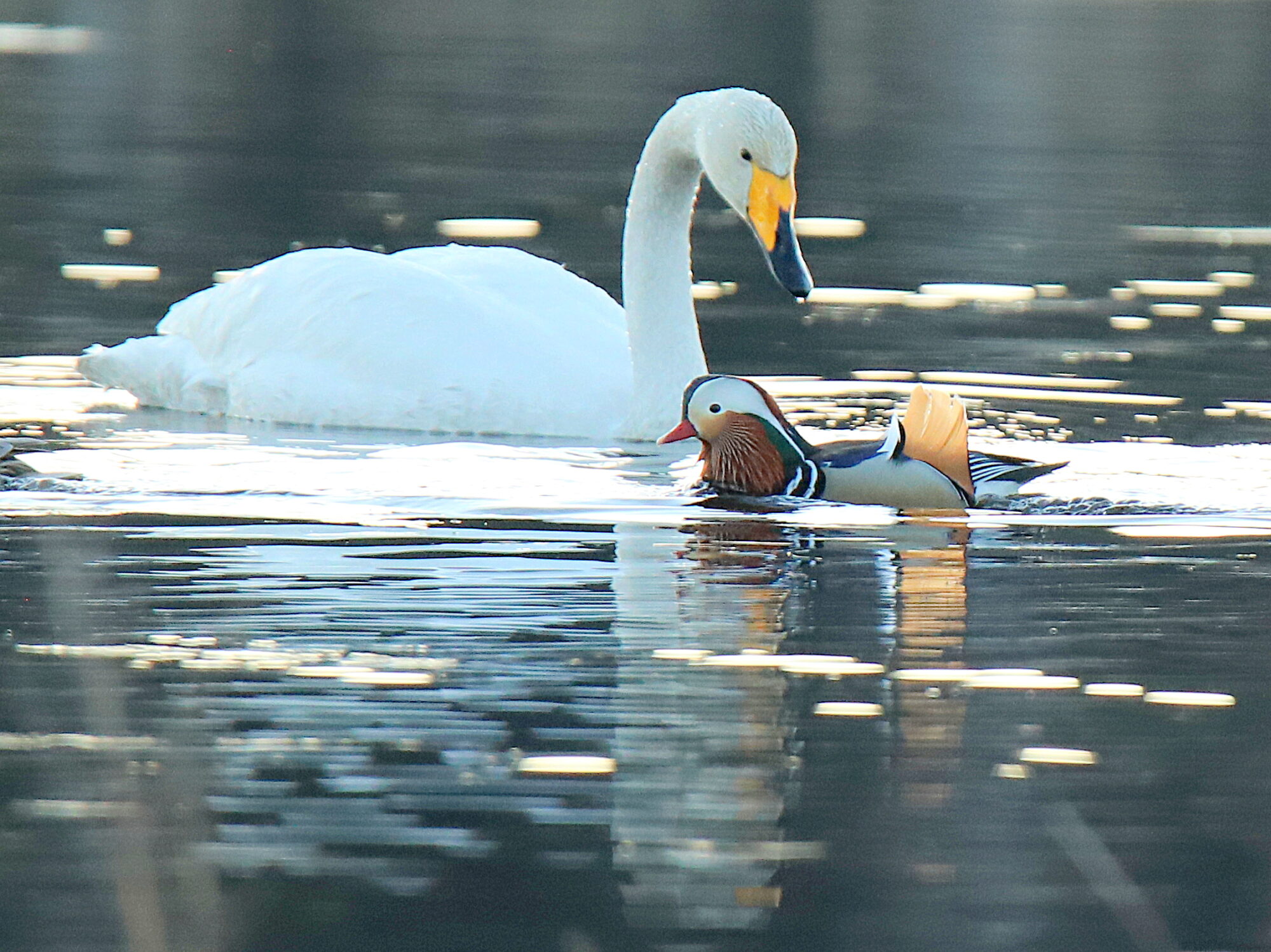 Valokuvaaja: sirpa jyske