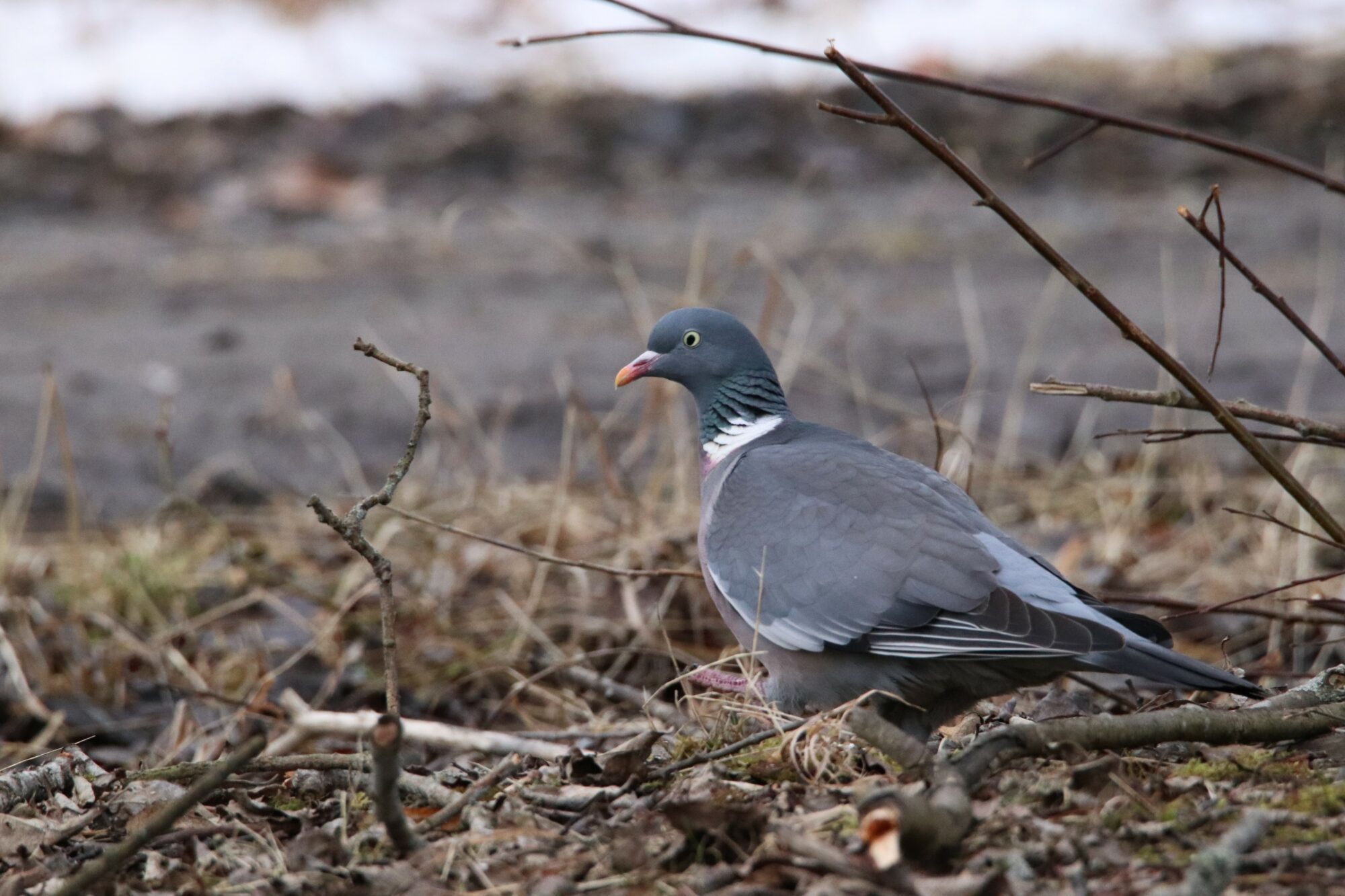 Valokuvaaja: Irja Lehtinen