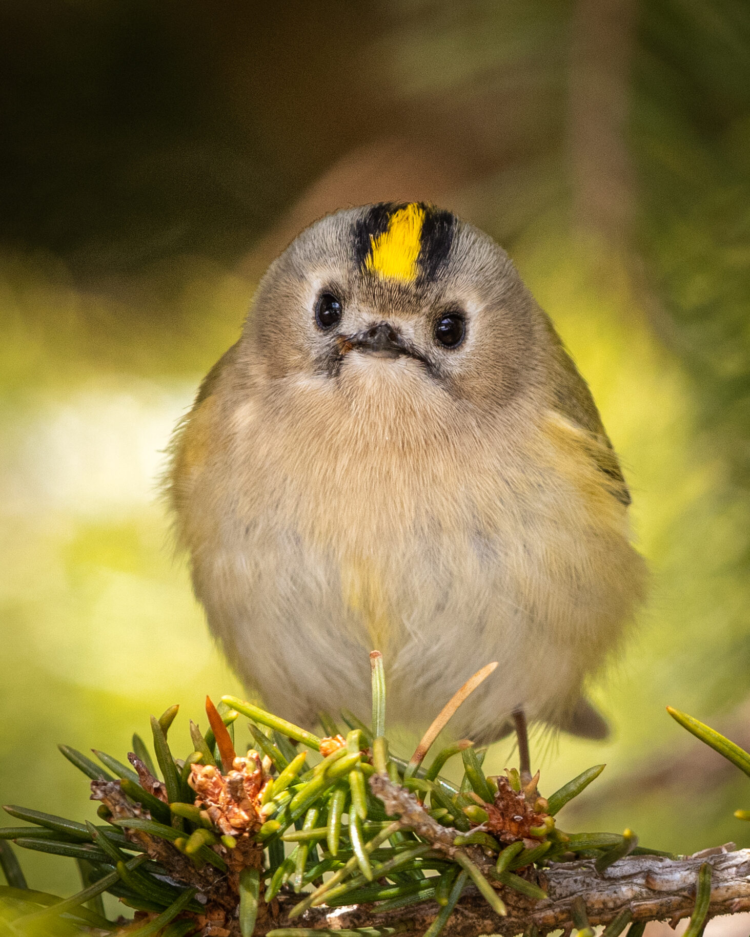 Valokuvaaja: Jukka Risikko