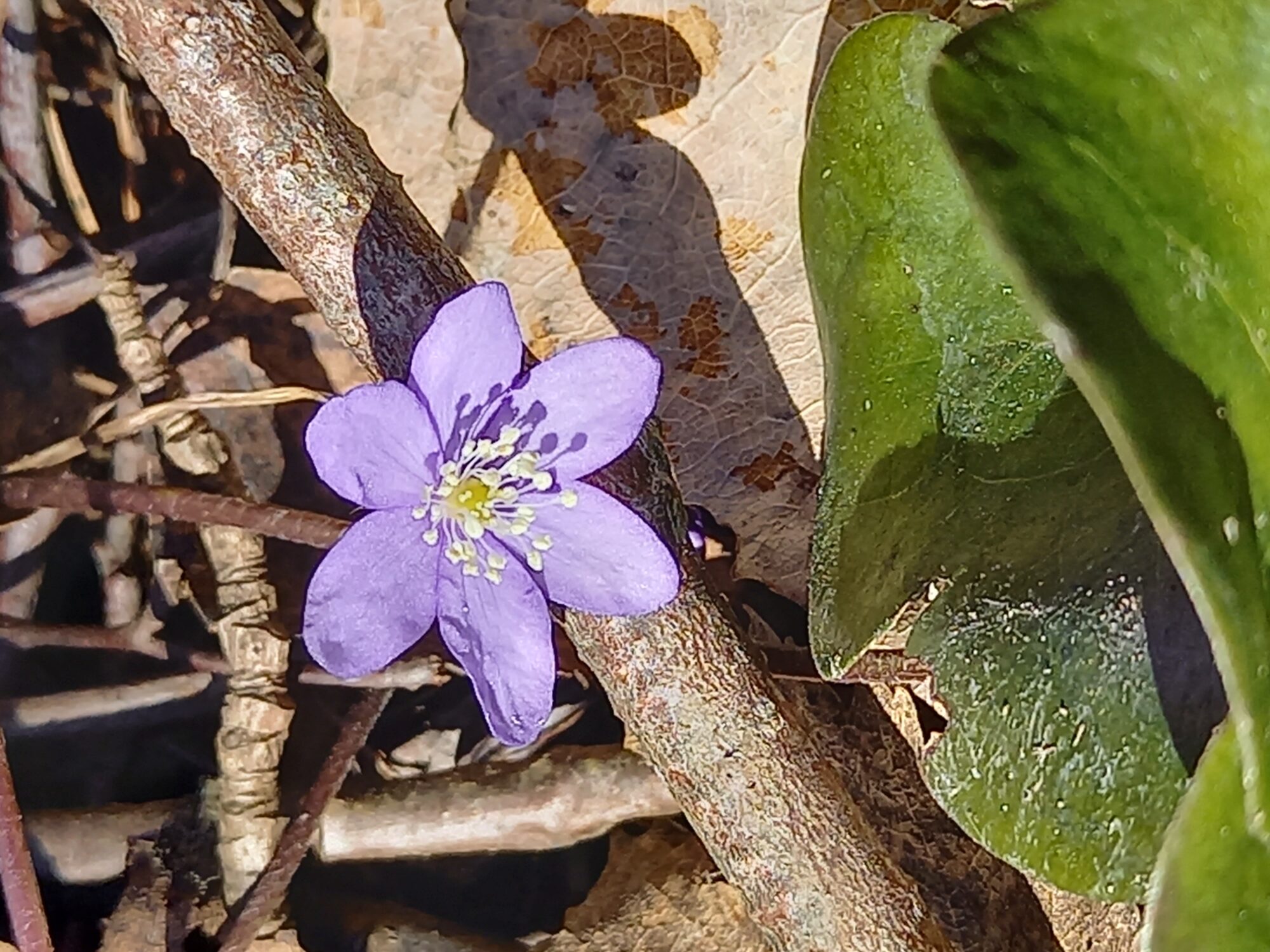 Valokuvaaja: Katrina Räisänen-Sondermann