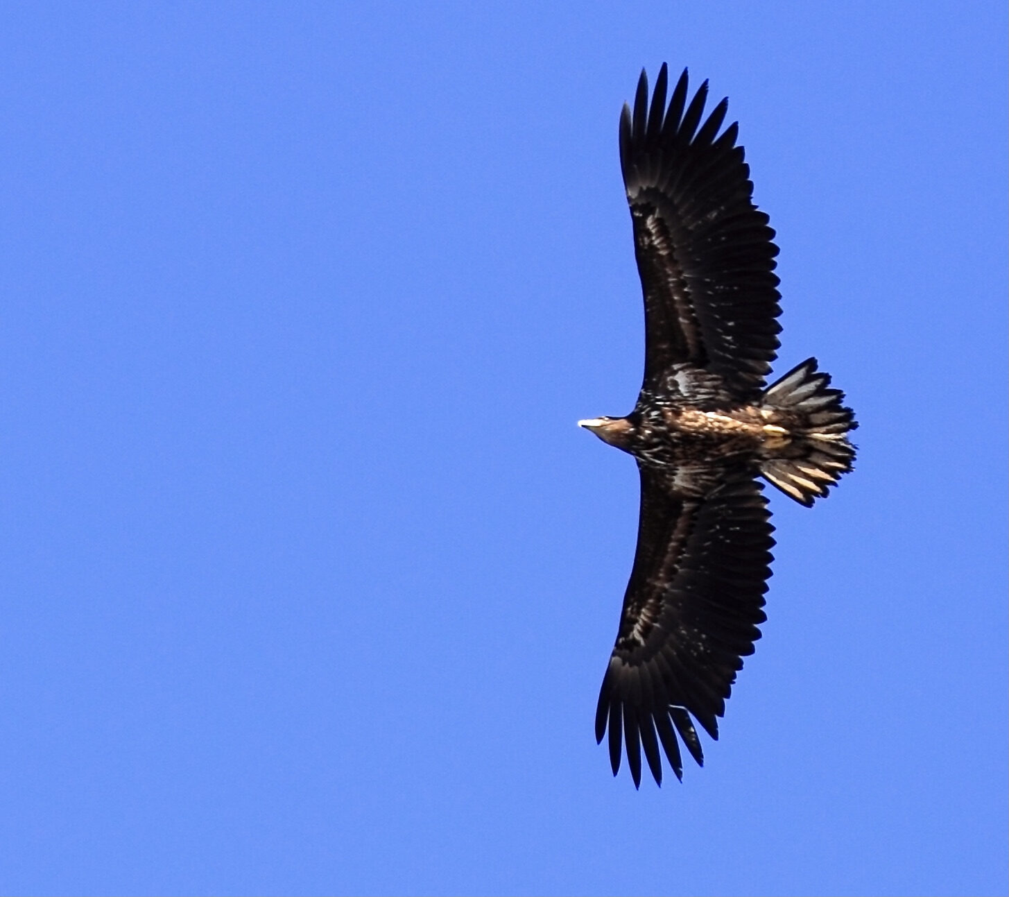 Valokuvaaja: Ari Branthin