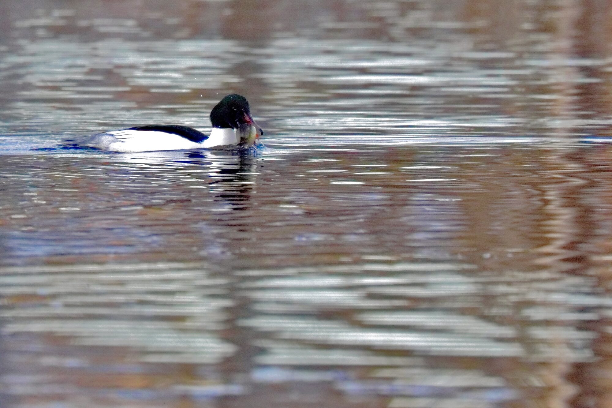 Valokuvaaja: Ari Branthin Valokuvaaja: Ari Branthin