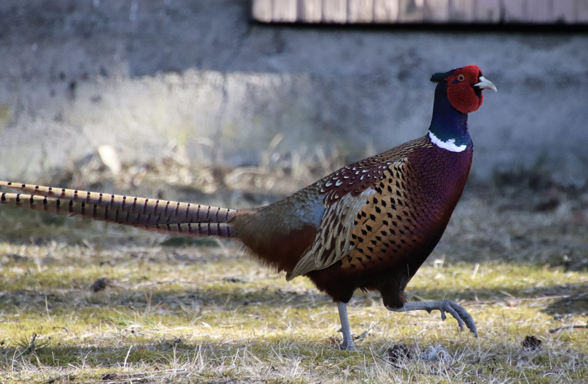 Valokuvaaja: Eveliina Koivisto