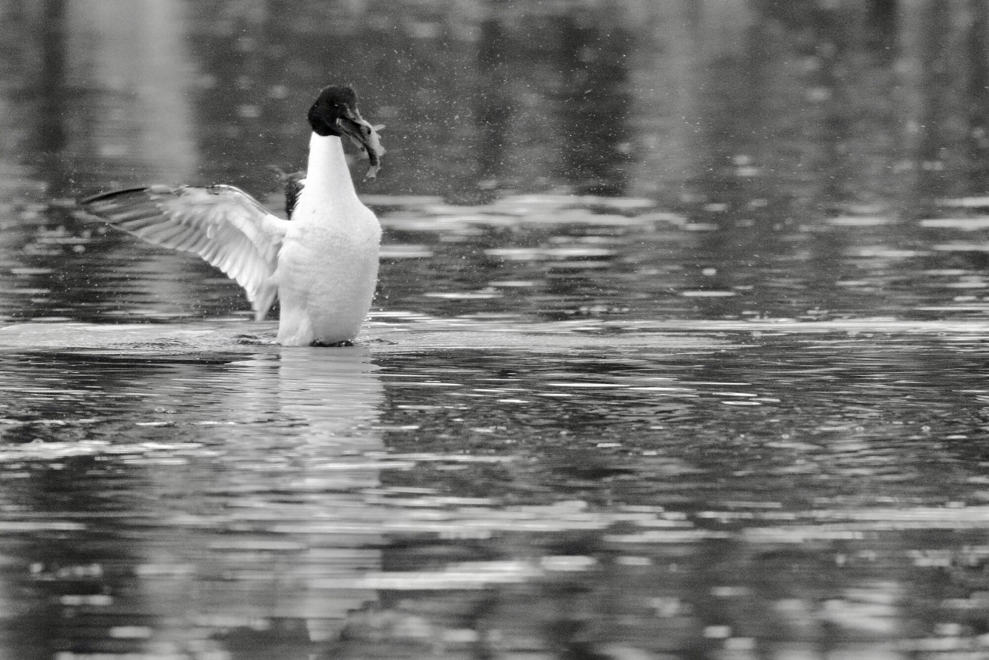 Valokuvaaja: Ari Branthin