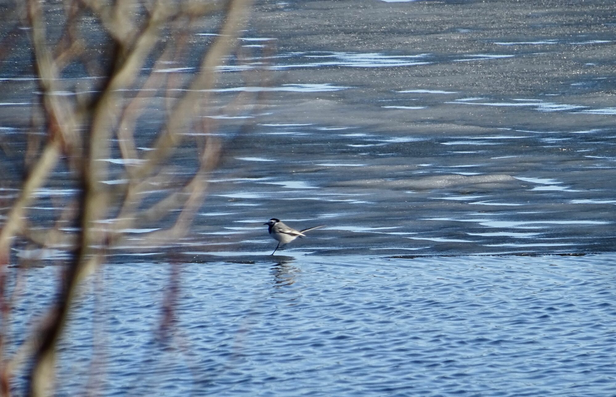 Valokuvaaja: Liisa Niiva-Korpela