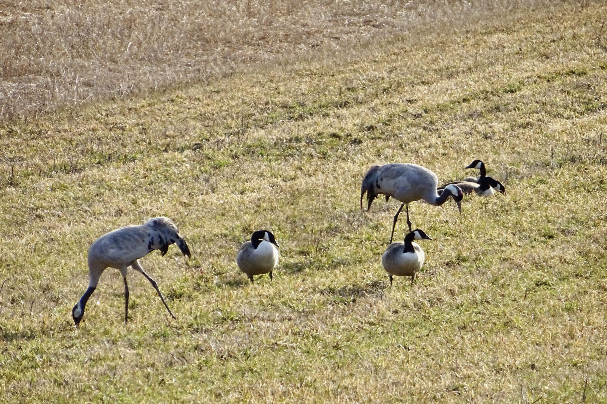Valokuvaaja: Liisa Niiva-Korpela