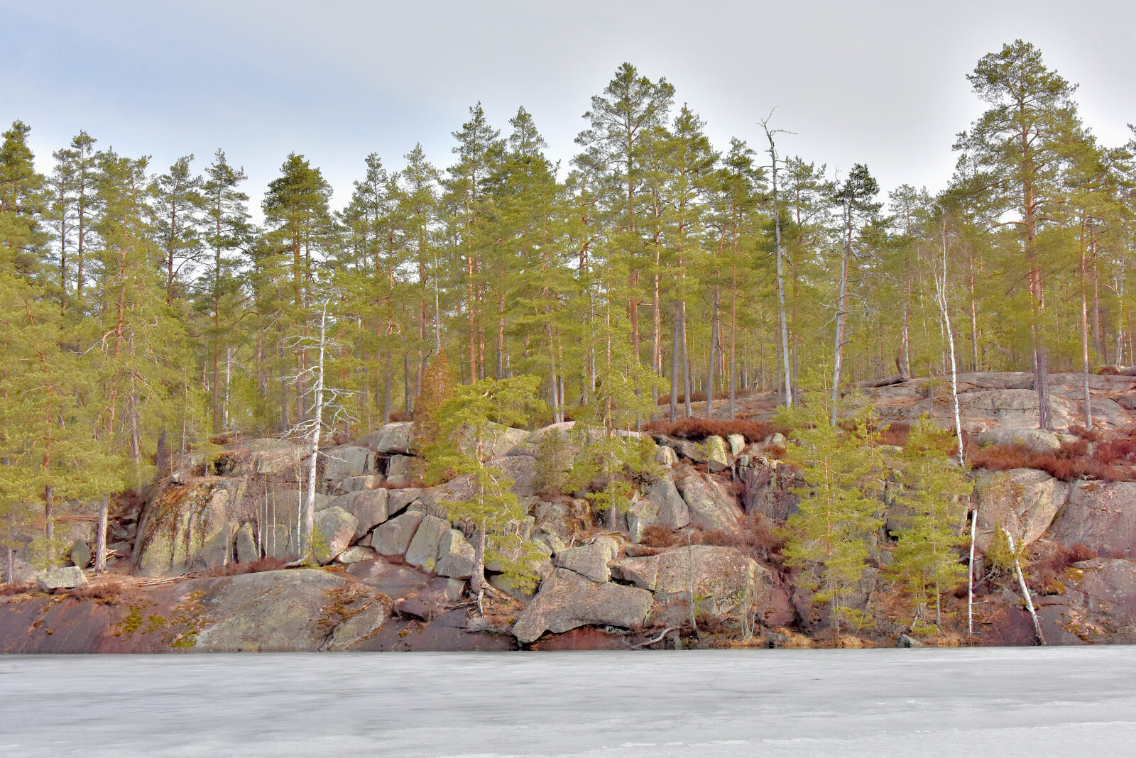 Valokuvaaja: Reijo Juurinen