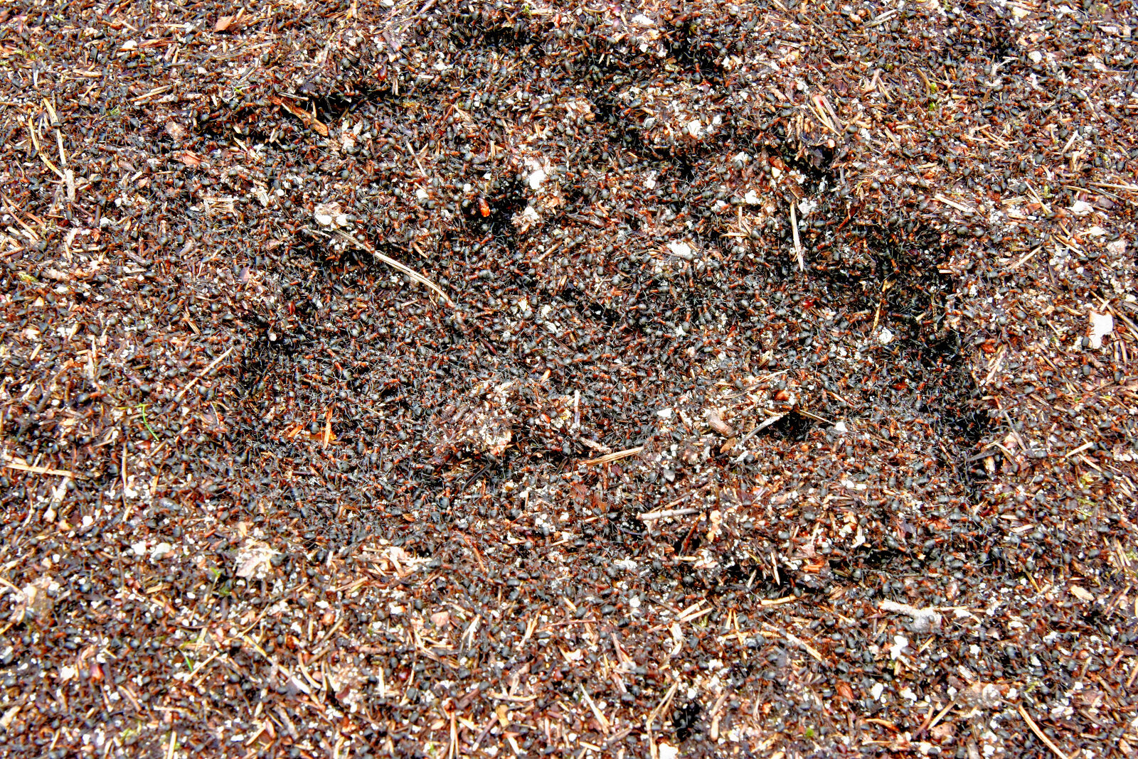 Valokuvaaja: Reijo Juurinen