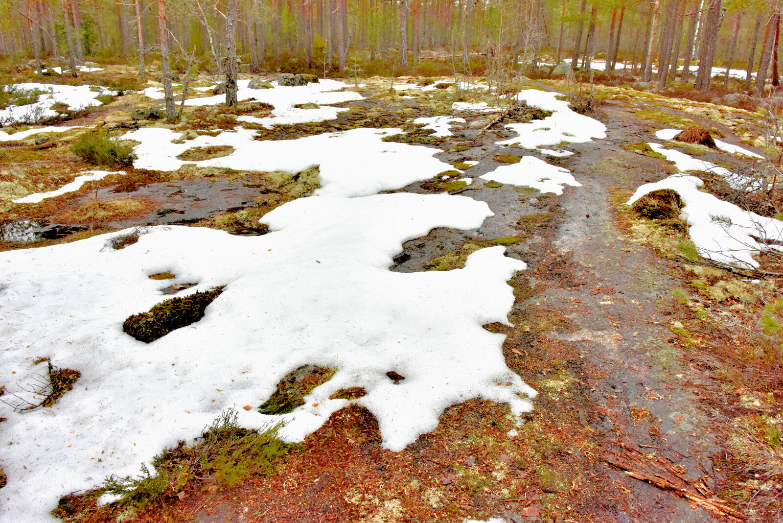 Valokuvaaja: Reijo Juurinen