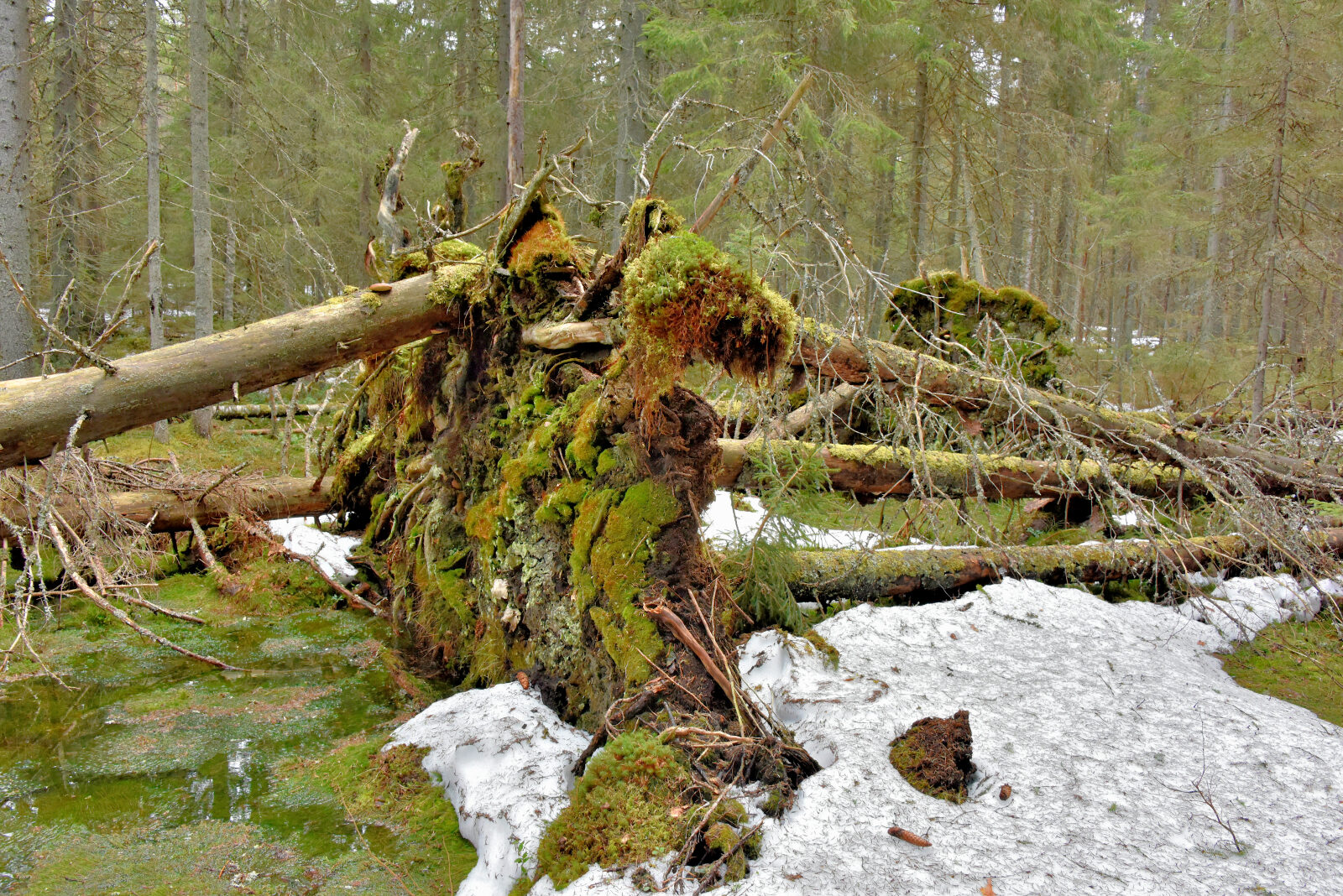 Valokuvaaja: Reijo Juurinen