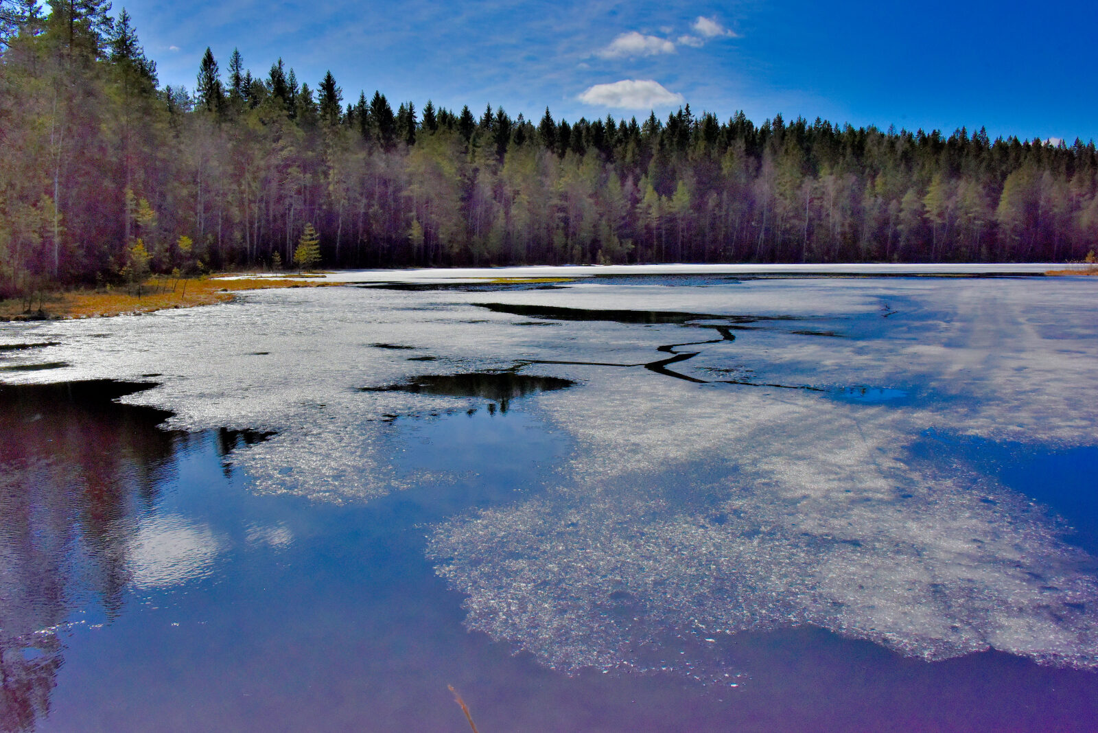 Valokuvaaja: Reijo Juurinen