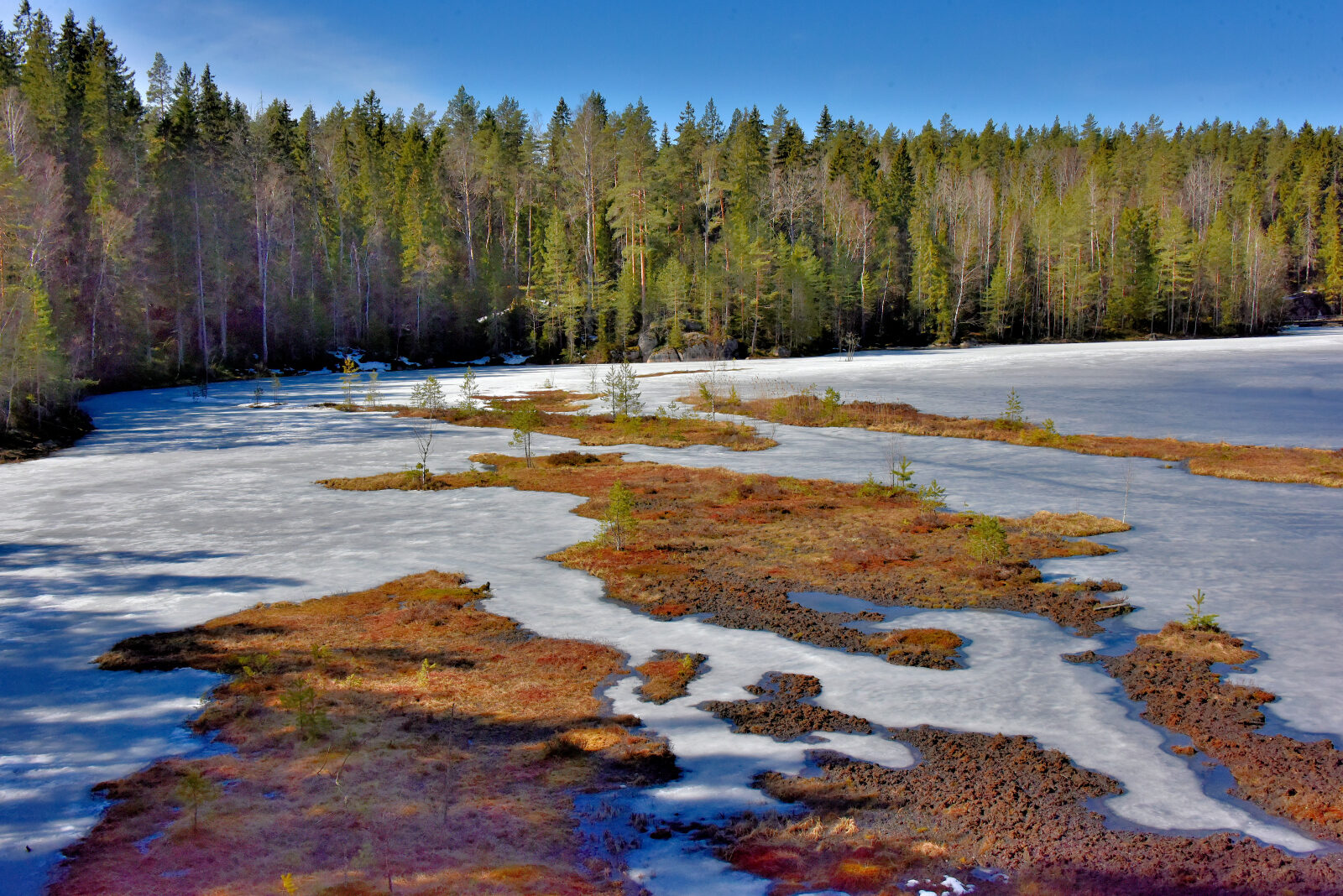 Valokuvaaja: Reijo Juurinen