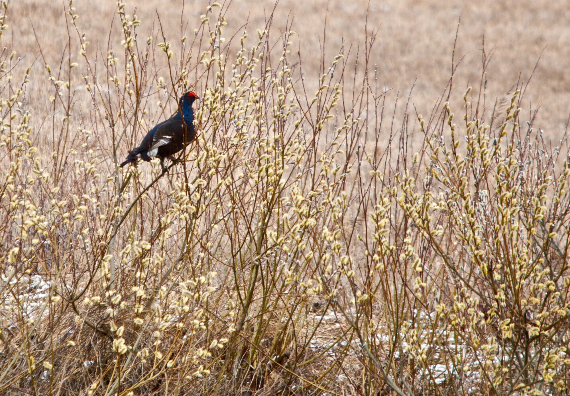 Valokuvaaja: Markku Ranta-Eilola