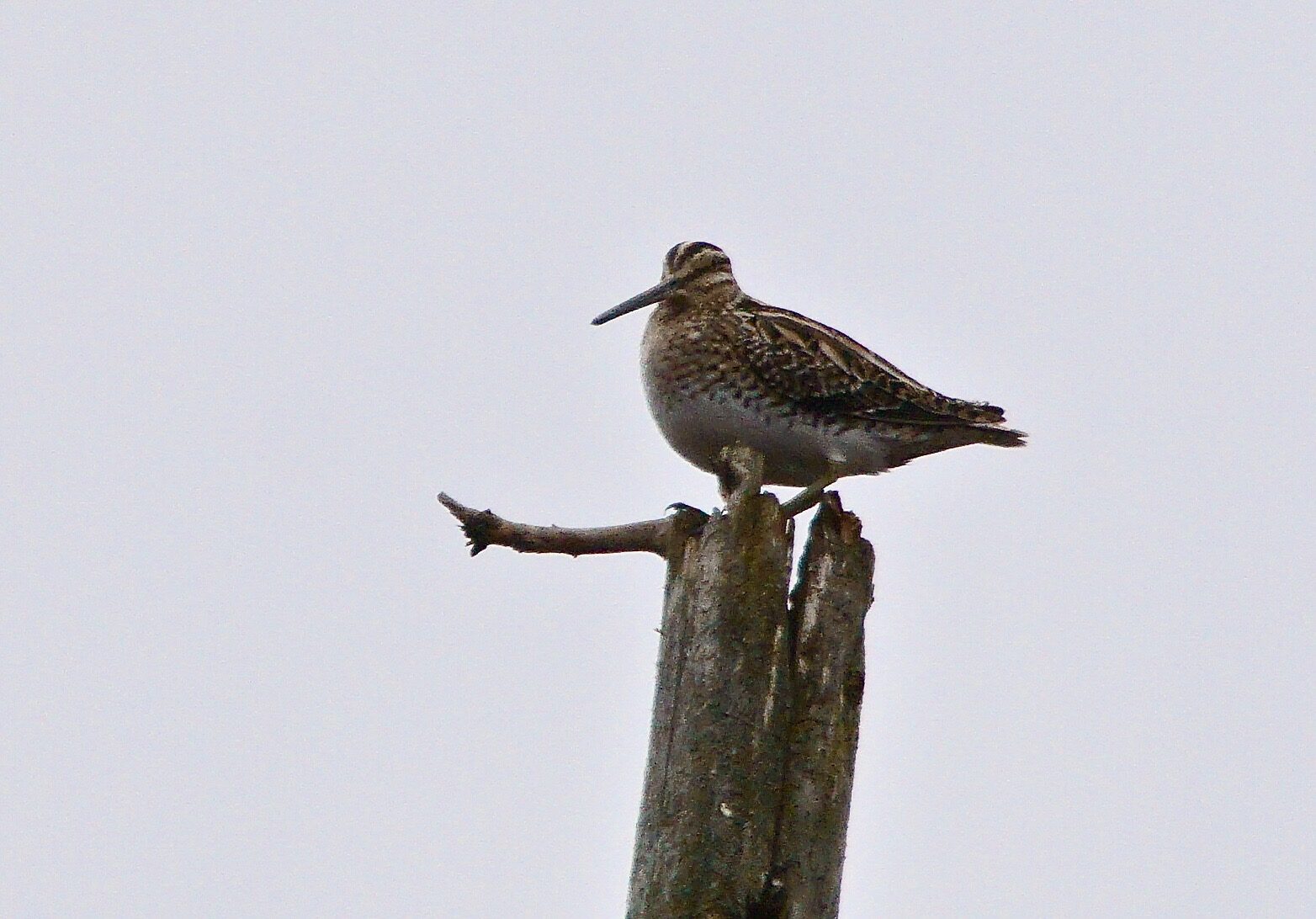 Valokuvaaja: Markku Ranta-Eilola