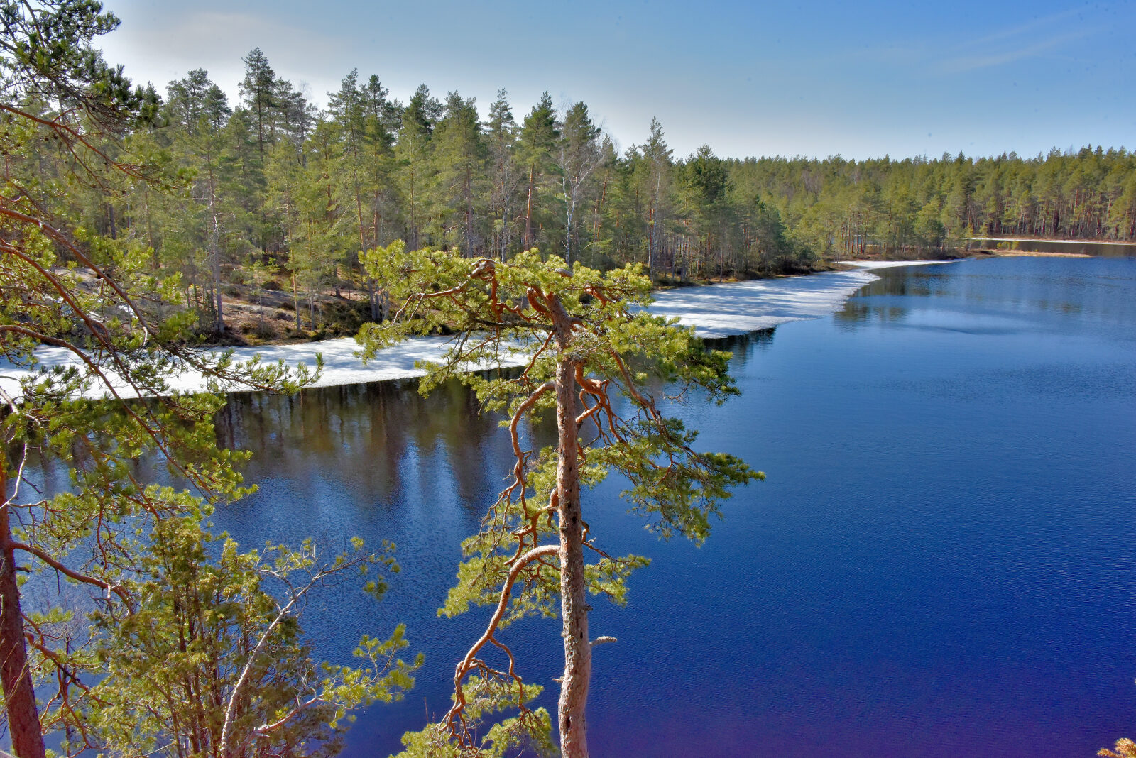 Valokuvaaja: Reijo Juurinen