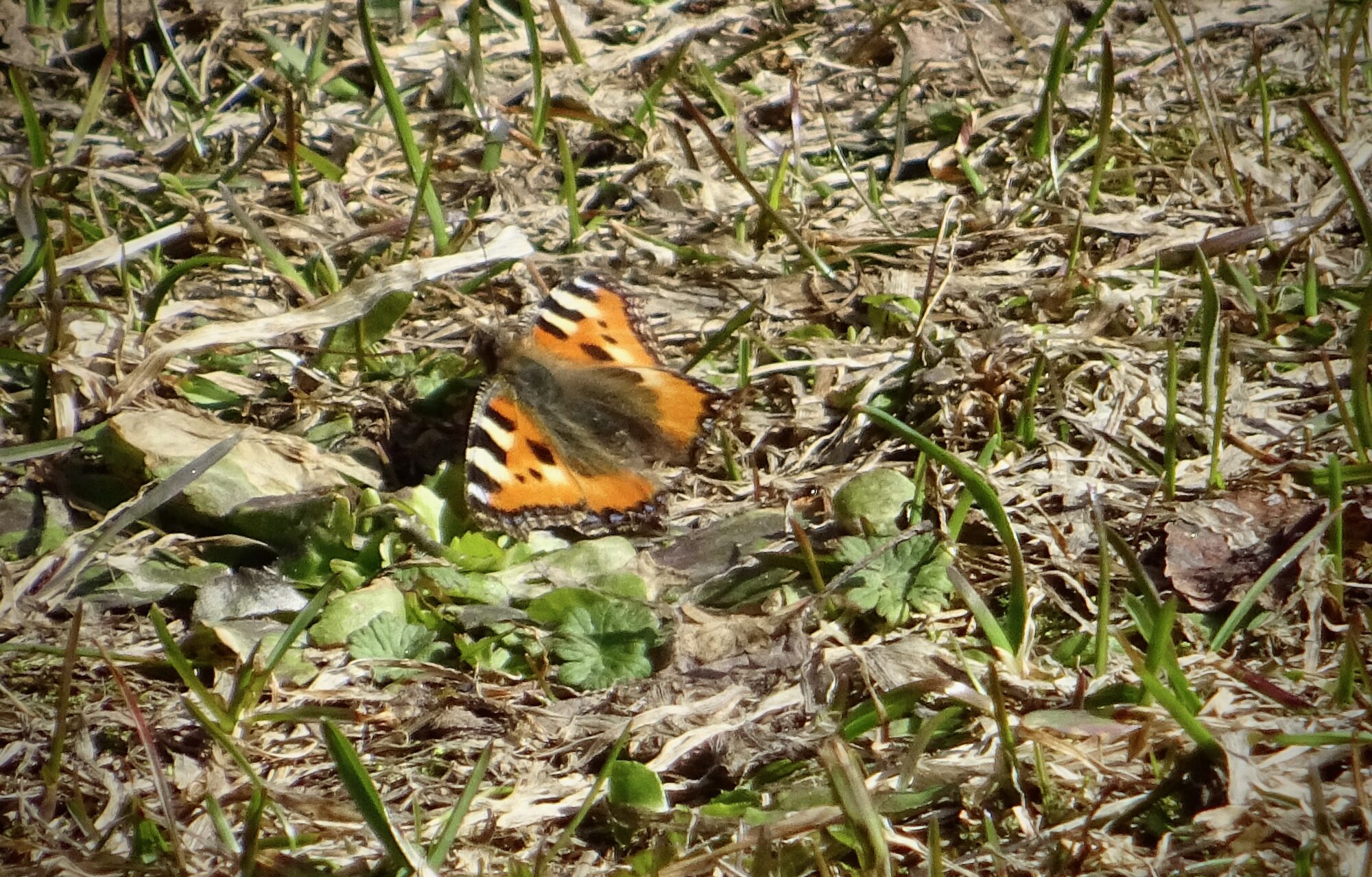 Valokuvaaja: Liisa Niiva-Korpela Valokuvaaja: Liisa Niiva-Korpela