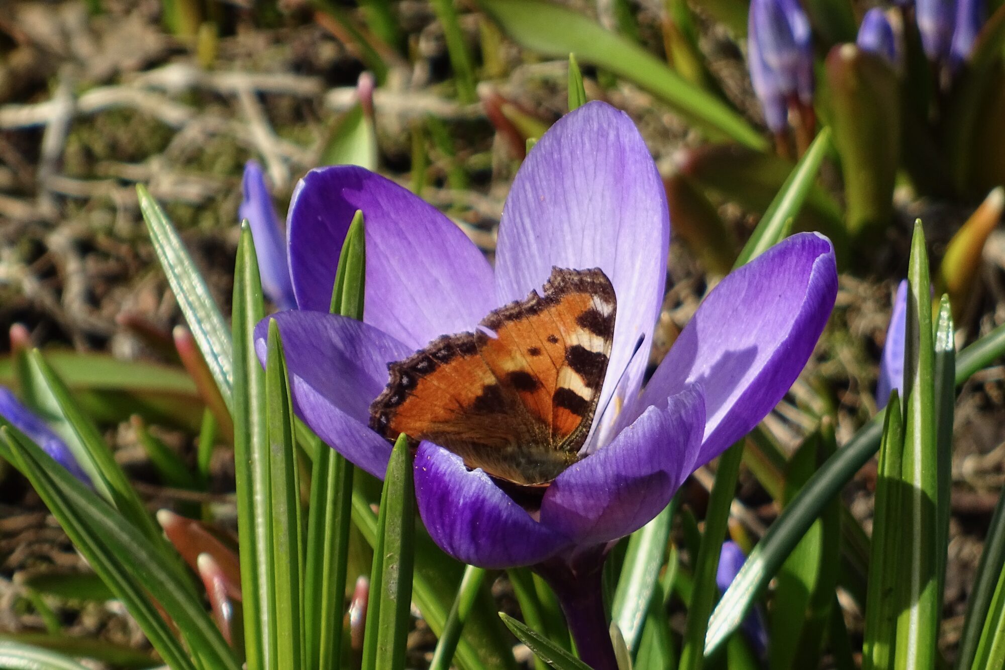 Valokuvaaja: Liisa Niiva-Korpela