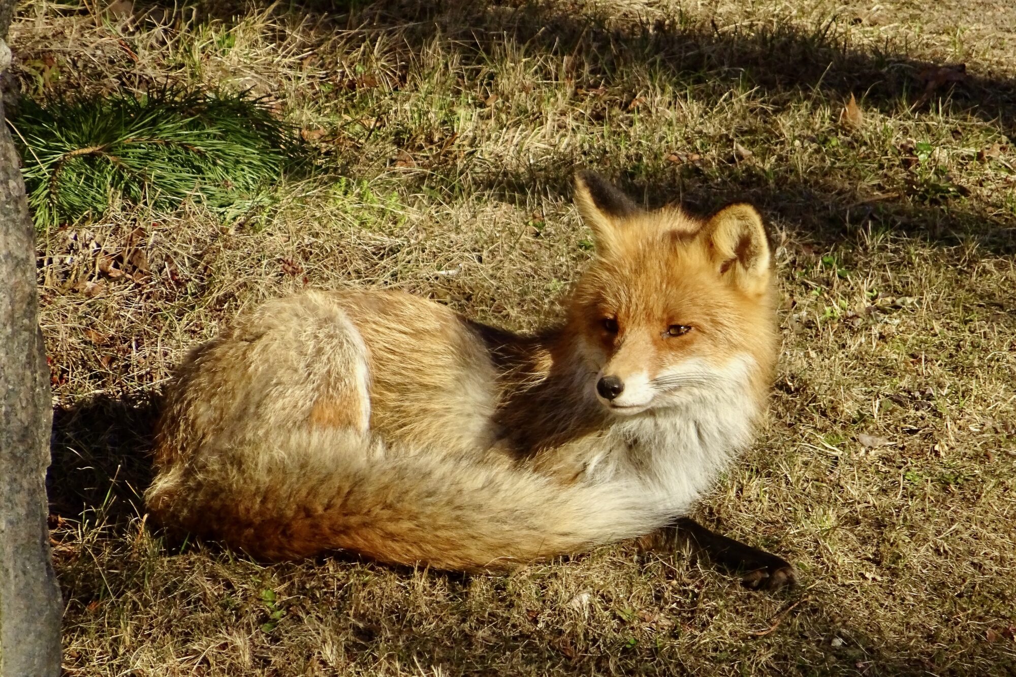 Valokuvaaja: Liisa Niiva-Korpela