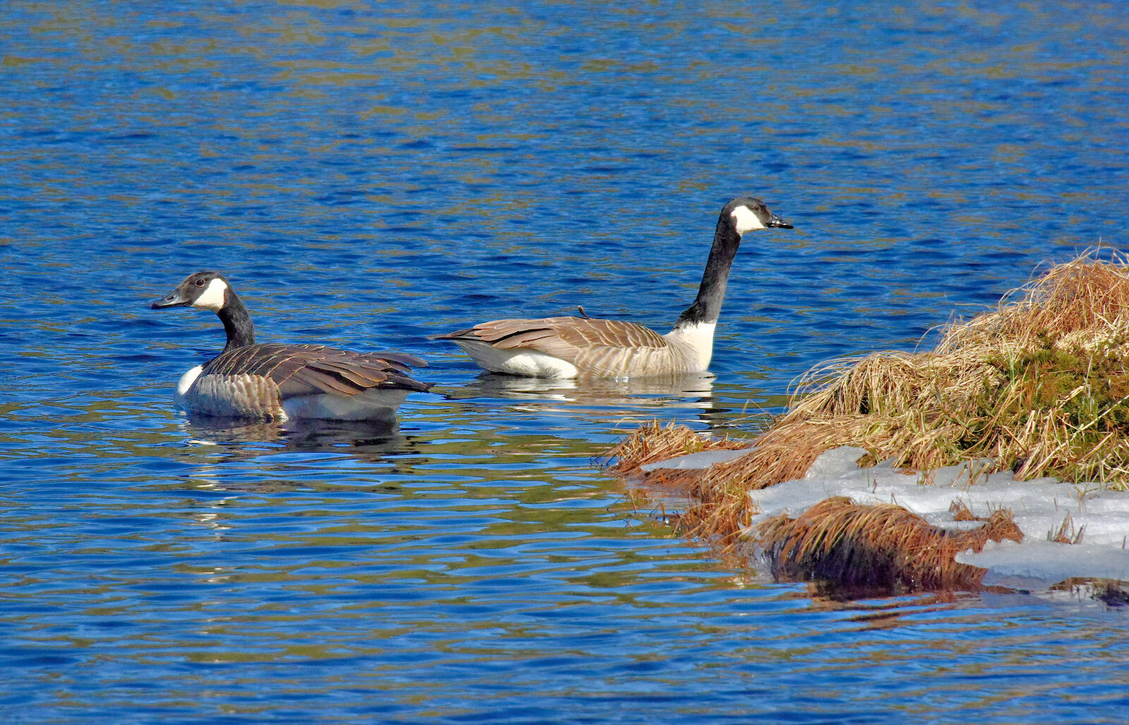 Valokuvaaja: Reijo Juurinen