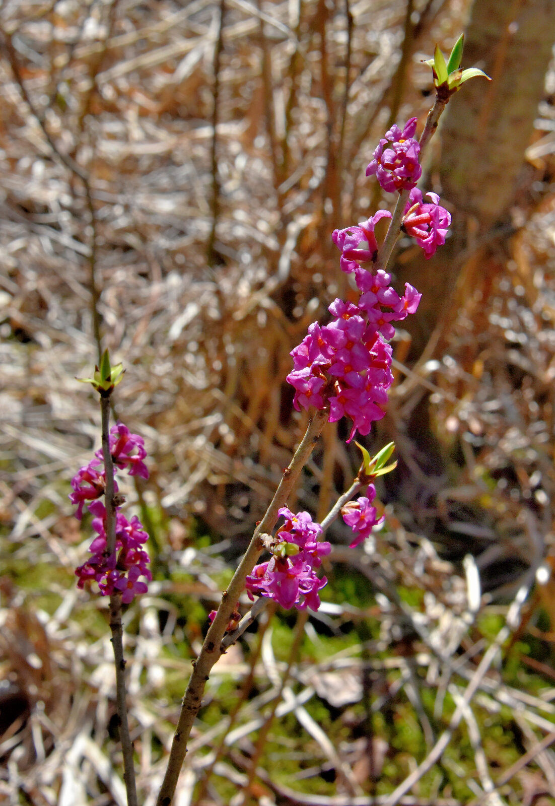 Valokuvaaja: Reijo Juurinen