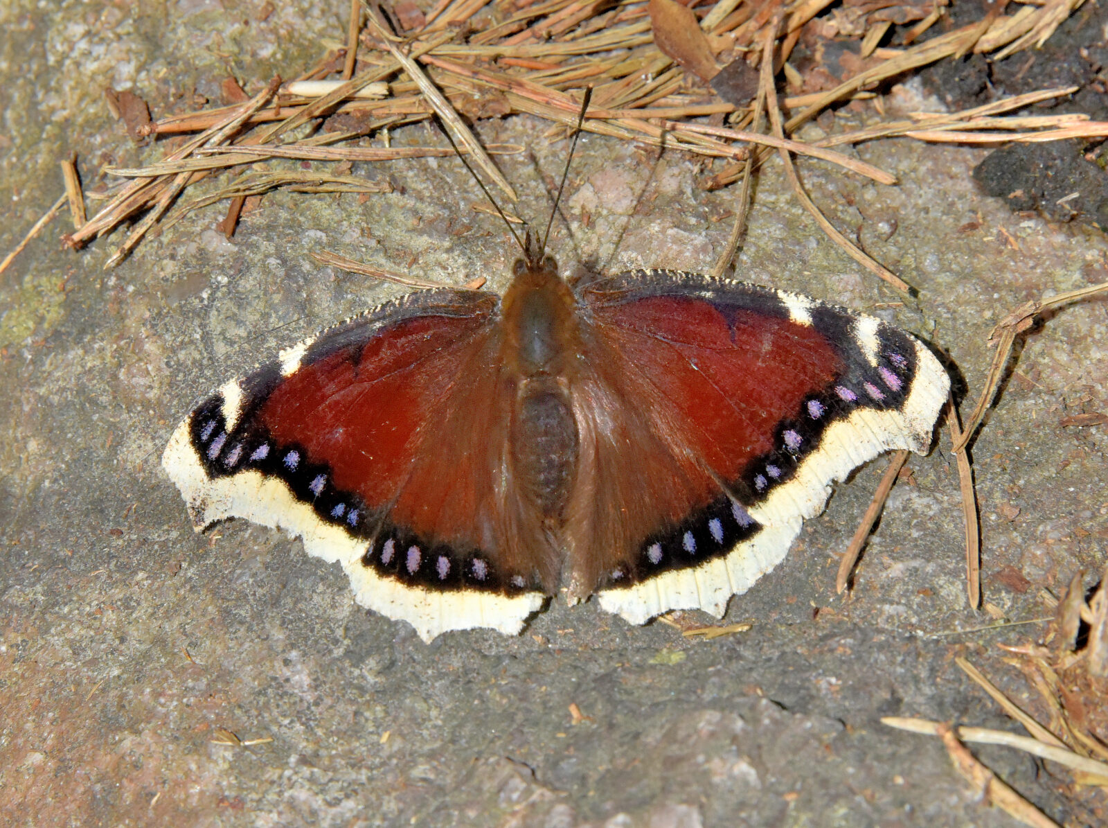 Valokuvaaja: Reijo Juurinen